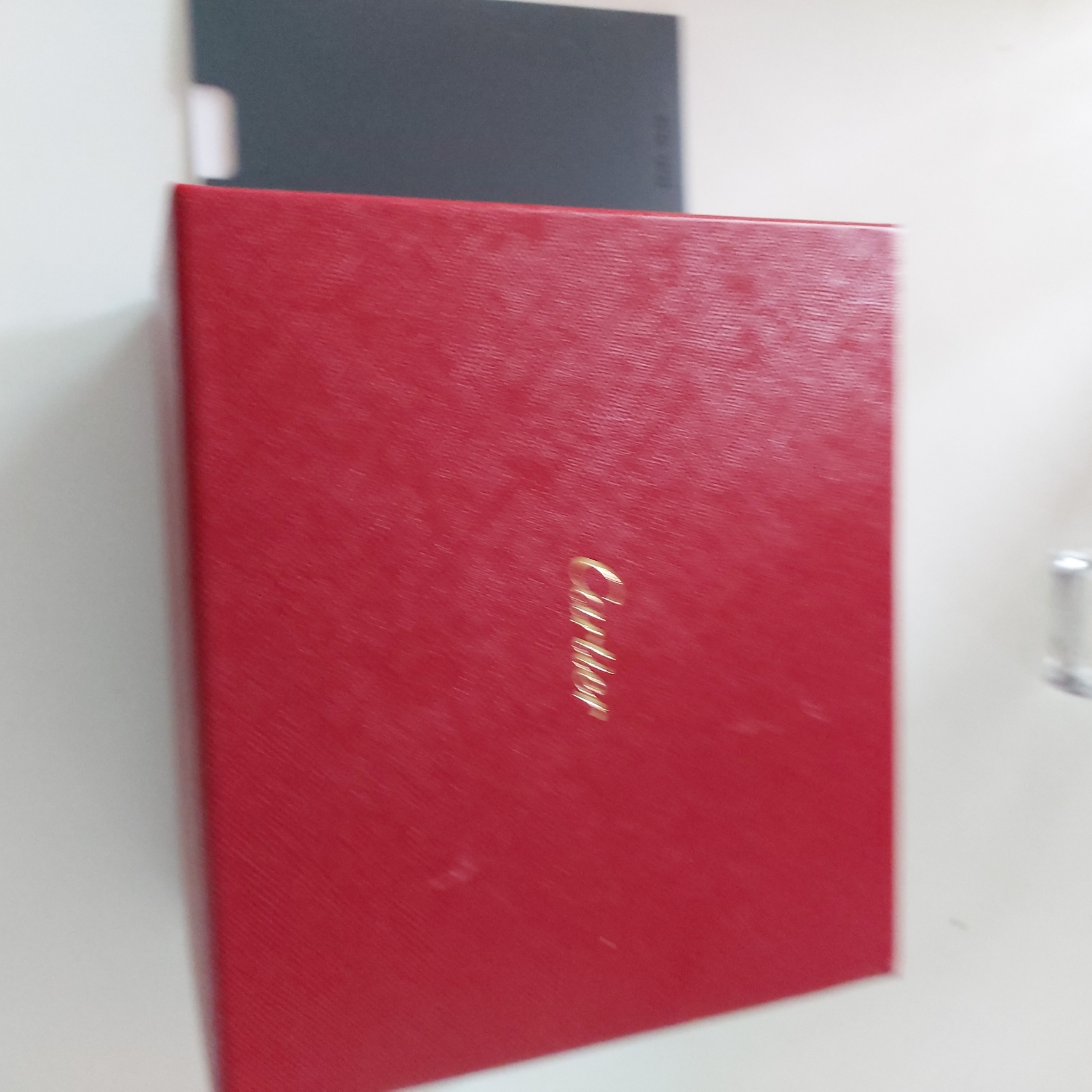 Cartier Tank Must Watch Small Quartz Steel Calfskin Black 착용 스타일 - 1