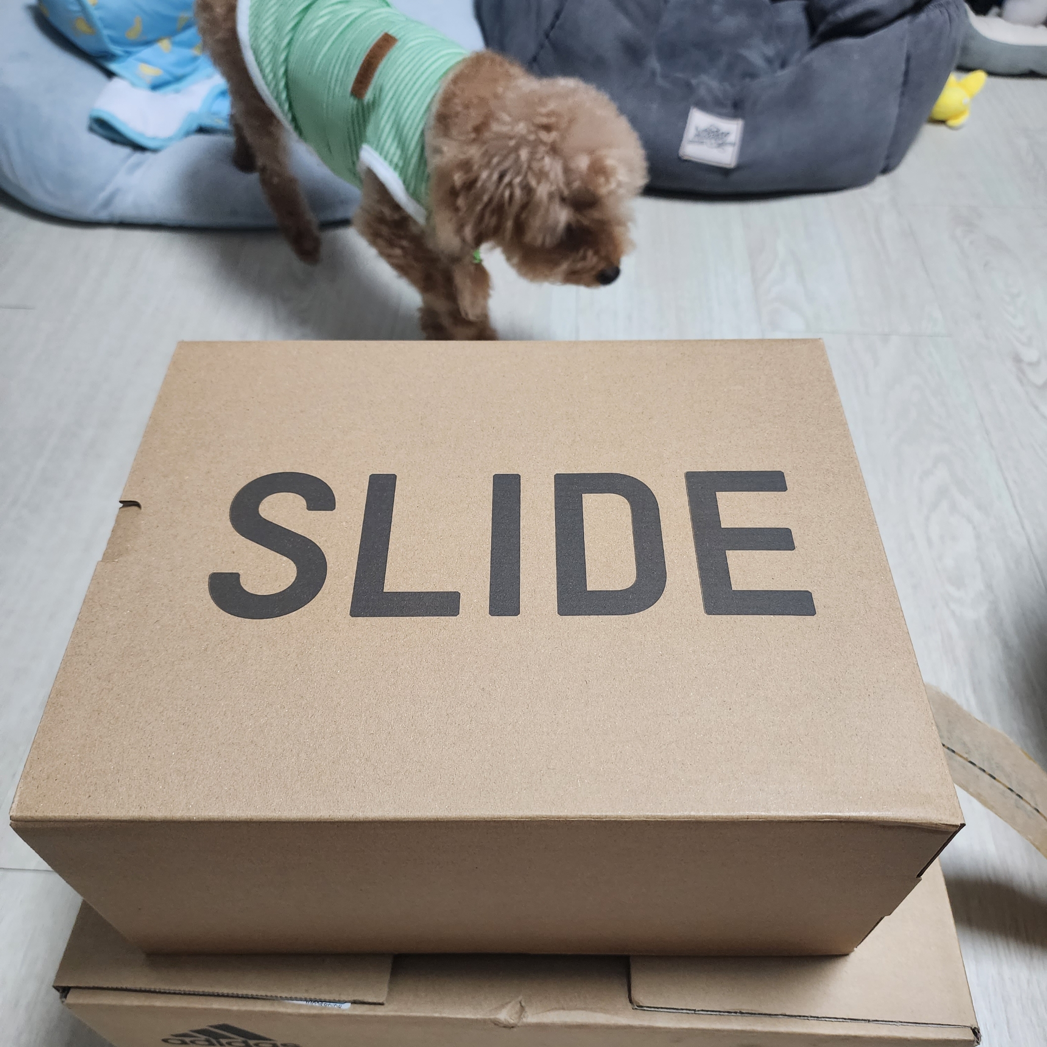 Adidas Yeezy Slide Slate Grey 착용 스타일 - 1