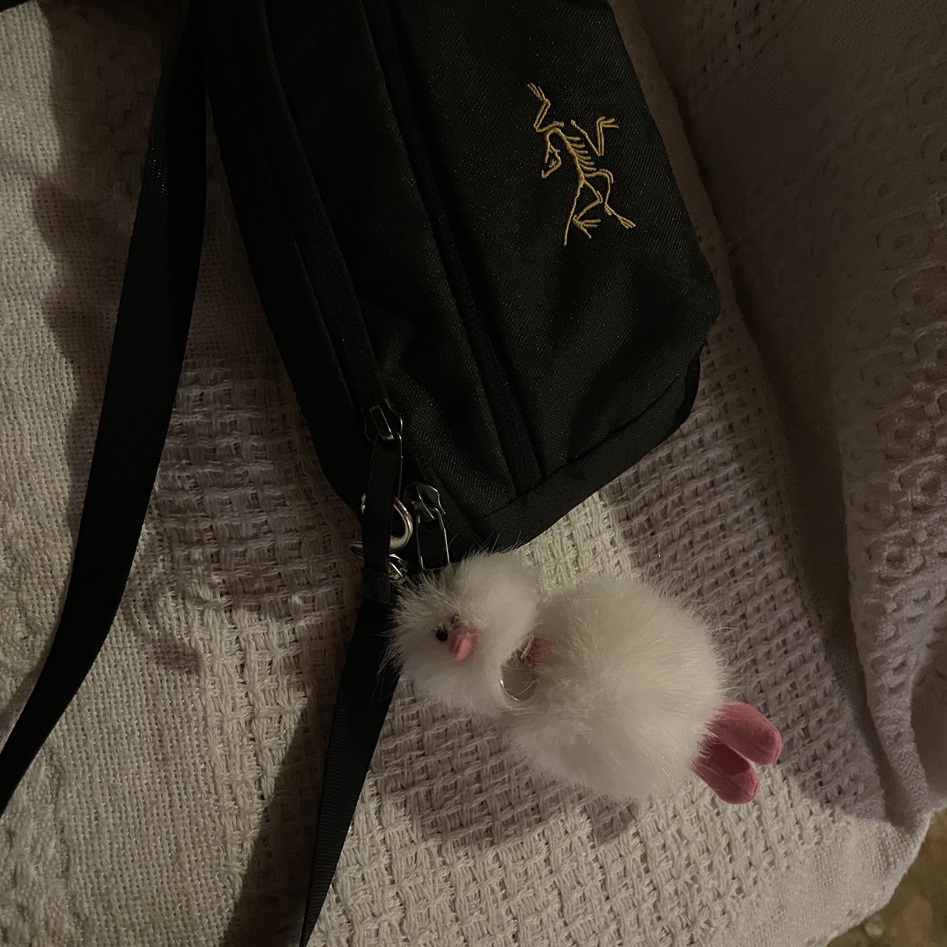 Arc'teryx Mantis 1 Waistpack Black, Cosymosy Mini Bird Keyring White 착용 스타일 - 2
