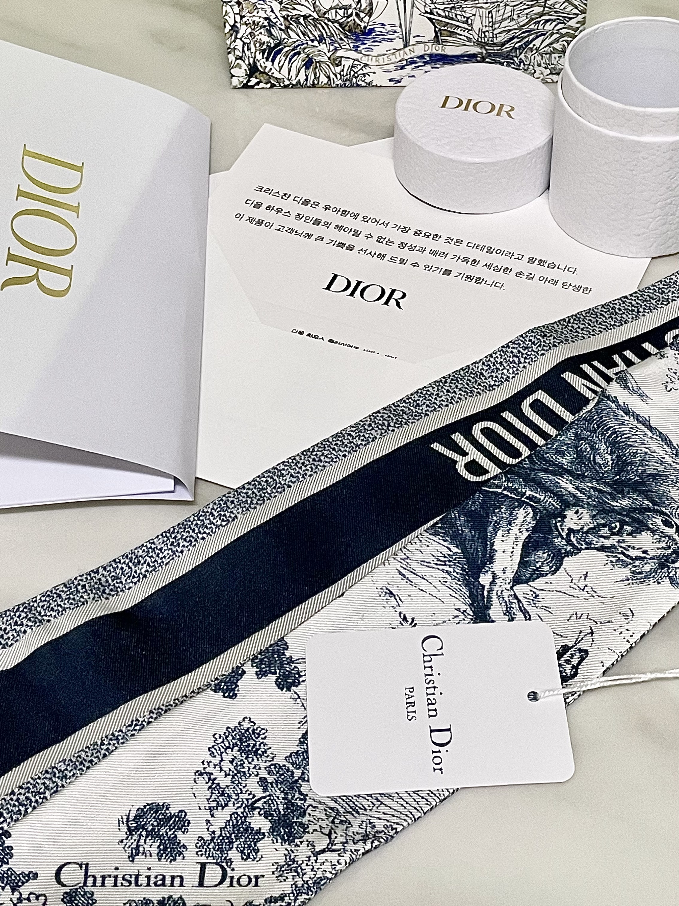 (W) Dior Toile de Jouy Sauvage Mitzah Scarf Silk Twill Ivory Navy Blue 착용 스타일