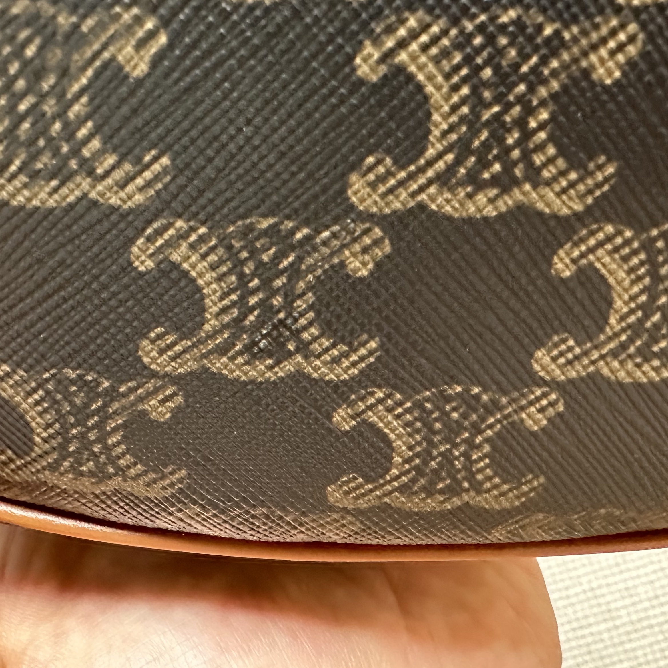 Celine Ava Bag in Triomphe Canvas and Calfskin Tan 착용 스타일 - 3