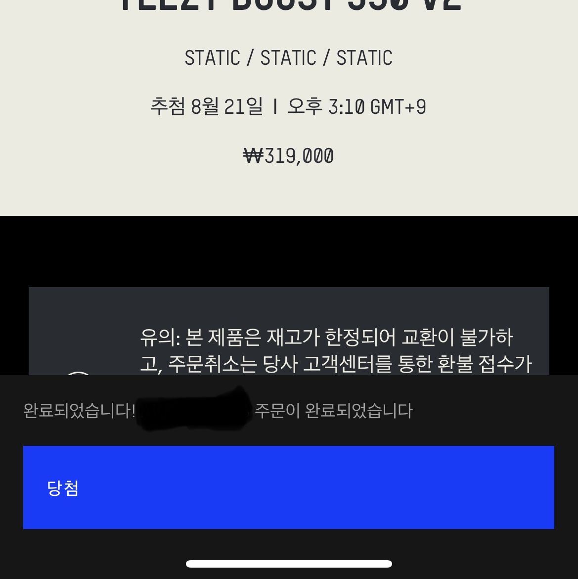 Adidas Yeezy Boost 350 V2 Static 2023 착용 스타일