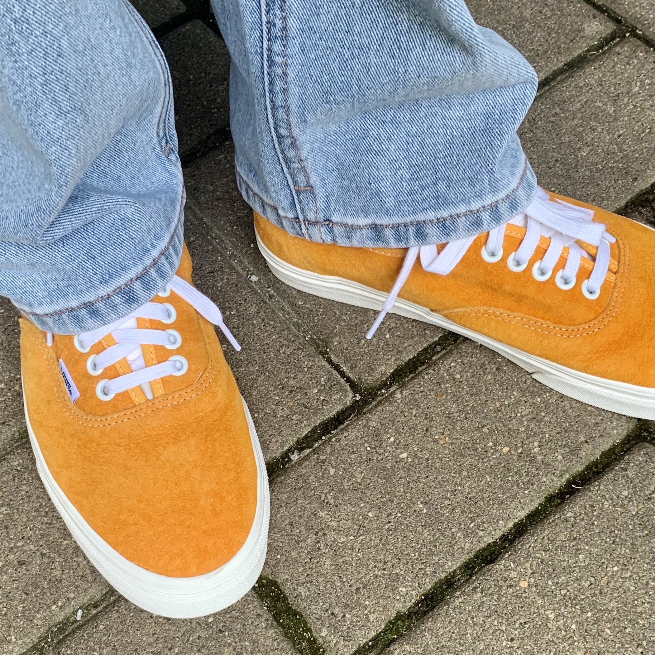 Vans Authentic Pig Suede Desert Sun 착용 스타일 - 3