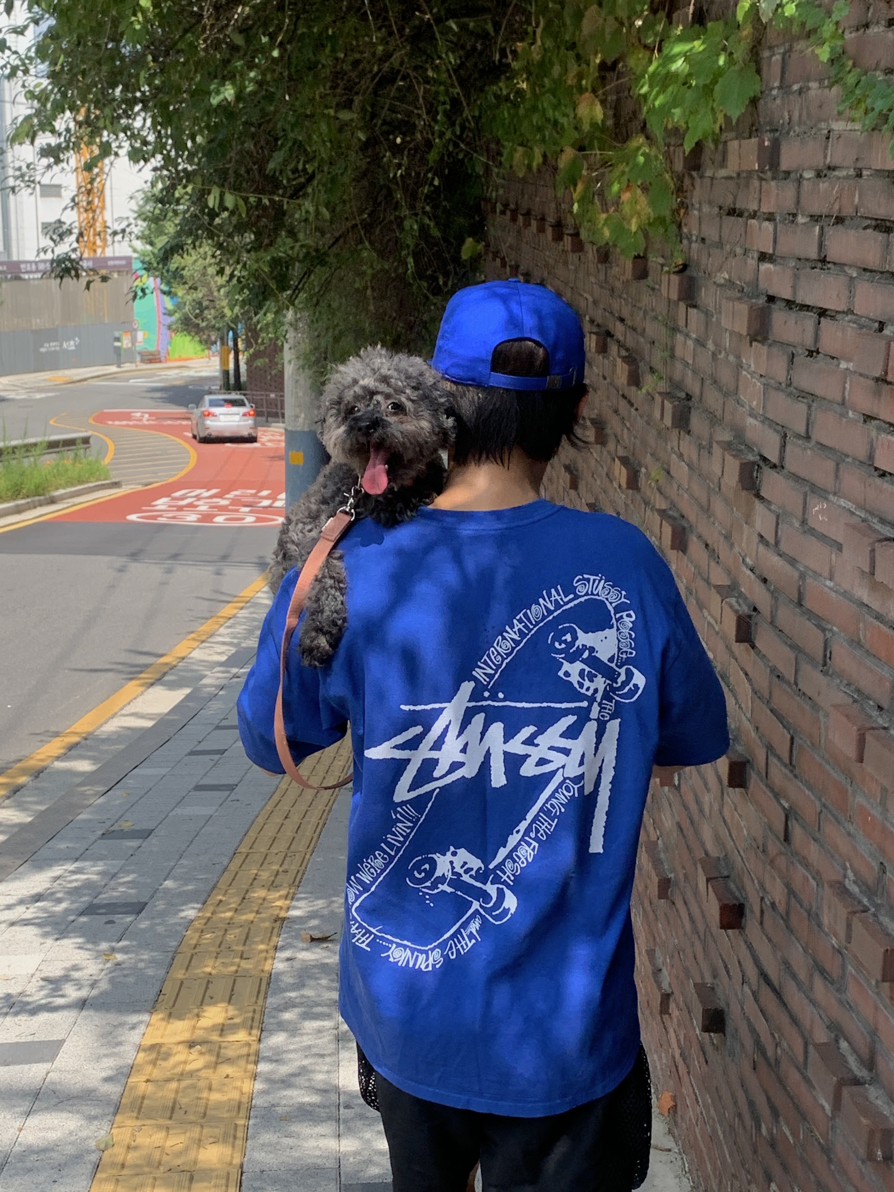 Stussy Skate Posse Pigment Dyed T-Shirt Blue, Nike ACG Snowgrass Cargo Shorts Black - Asia 착용 스타일 - 2