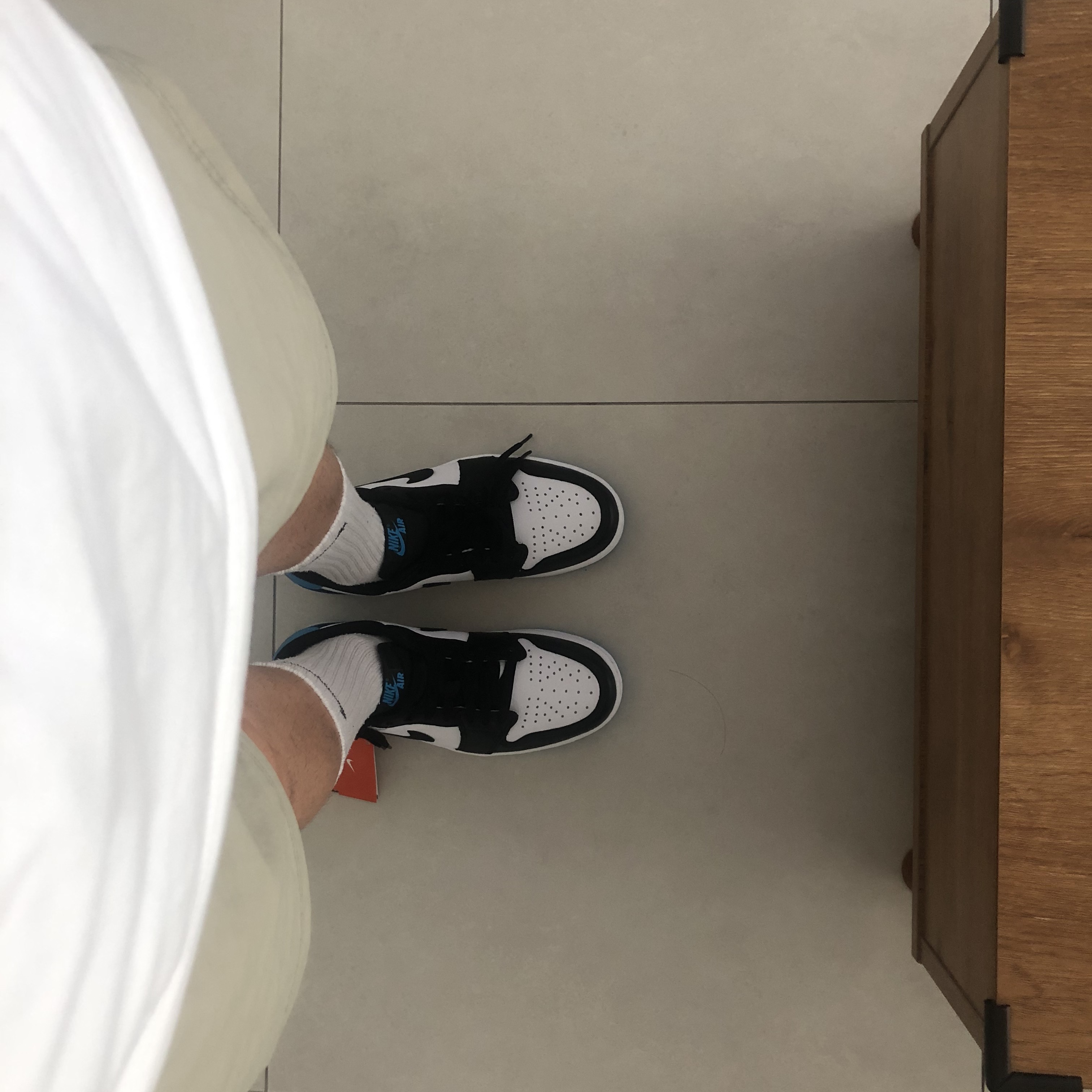 Jordan 1 Retro Low OG Black and Dark Powder Blue 착용 스타일 - 1