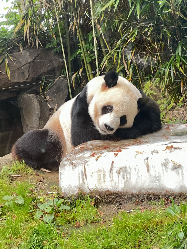 관심 유저 프로필 이미지
