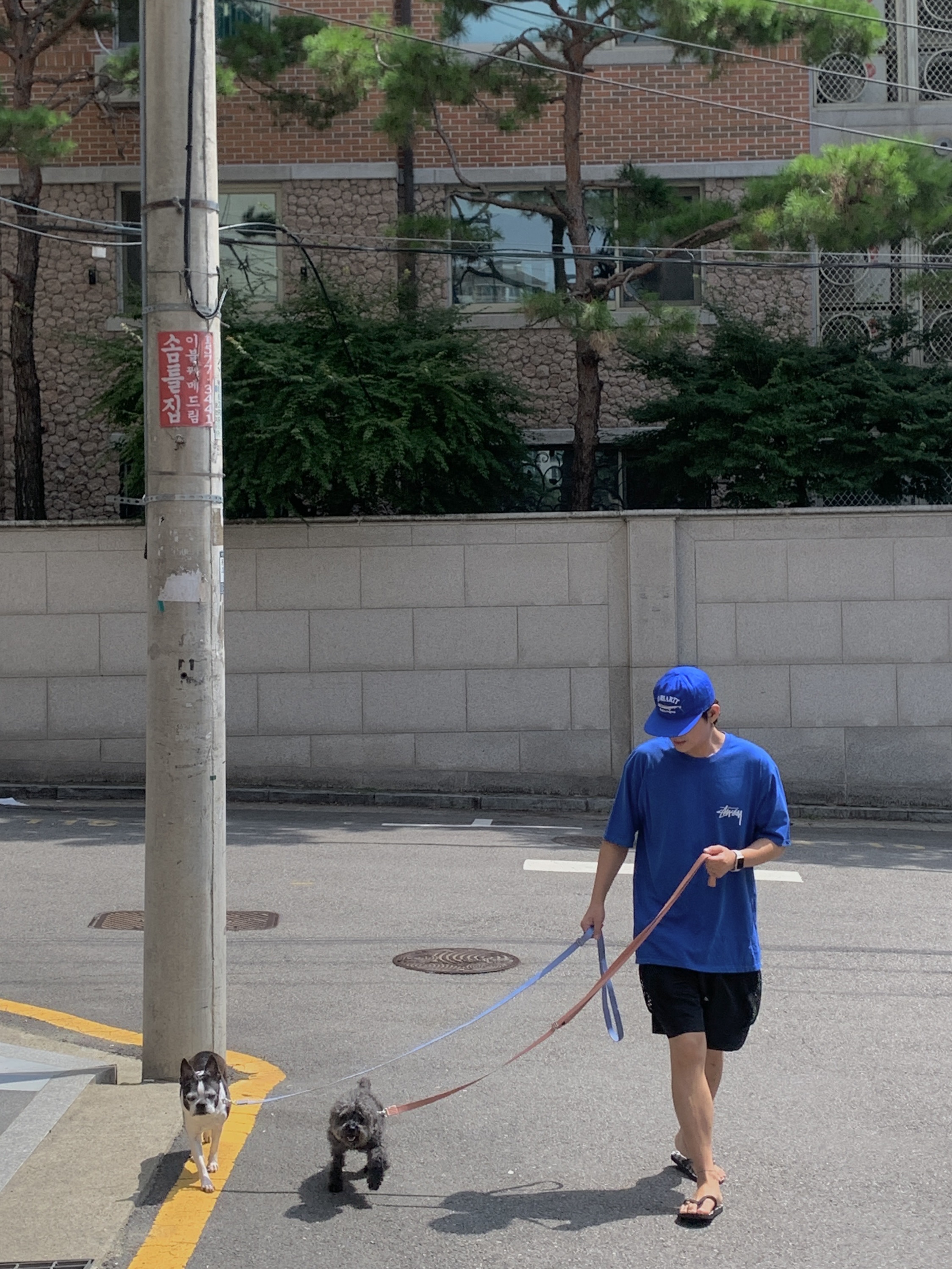 Stussy Skate Posse Pigment Dyed T-Shirt Blue, Nike ACG Snowgrass Cargo Shorts Black - Asia 착용 스타일 - 3