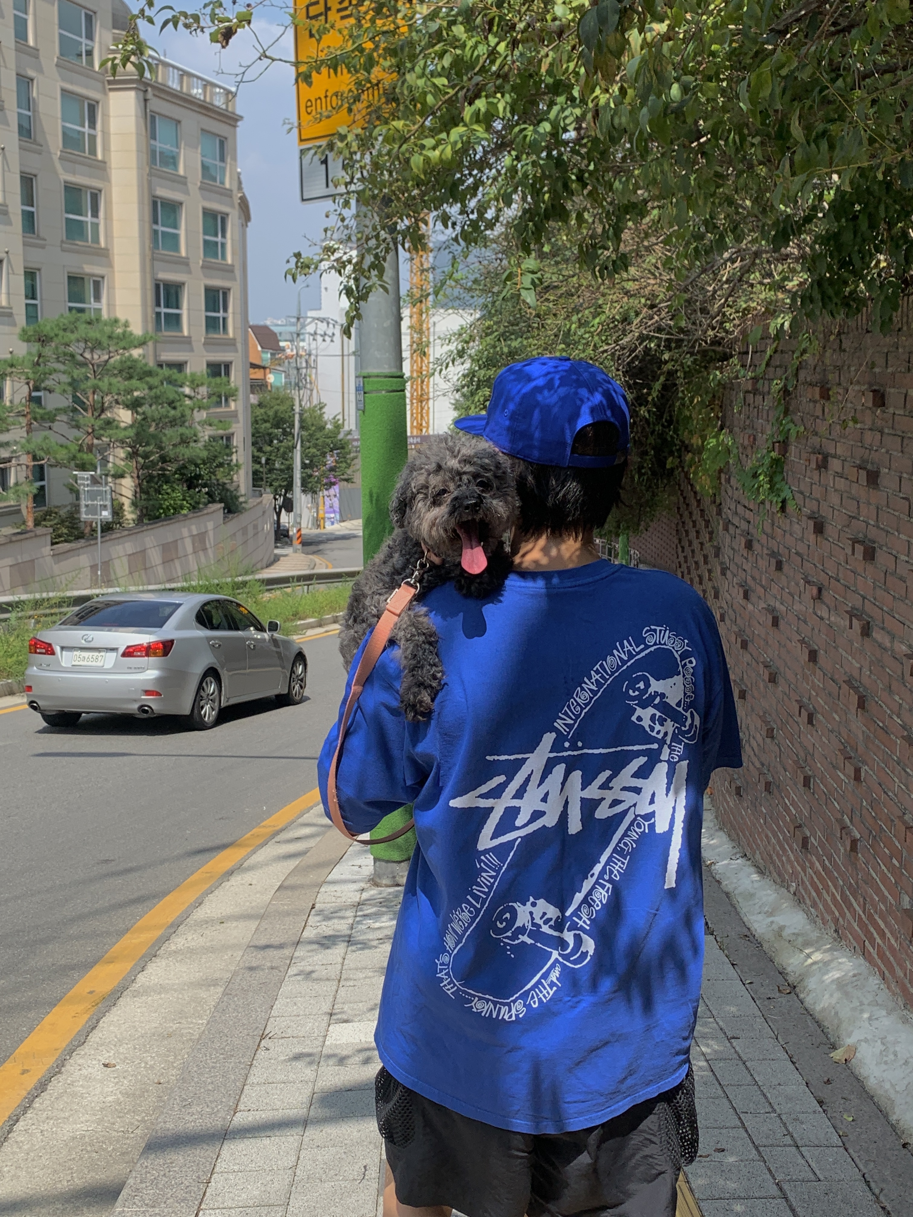 Stussy Skate Posse Pigment Dyed T-Shirt Blue, Nike ACG Snowgrass Cargo Shorts Black - Asia 착용 스타일 - 1