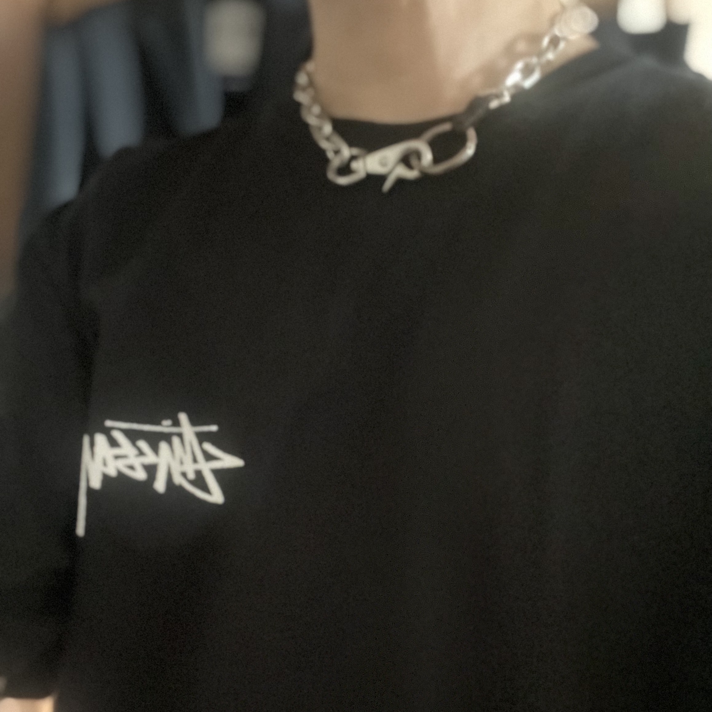 Our Legacy Ladon Brass Keychain Matte Nickel, Stussy Gold Lion T-Shirt Black 착용 스타일