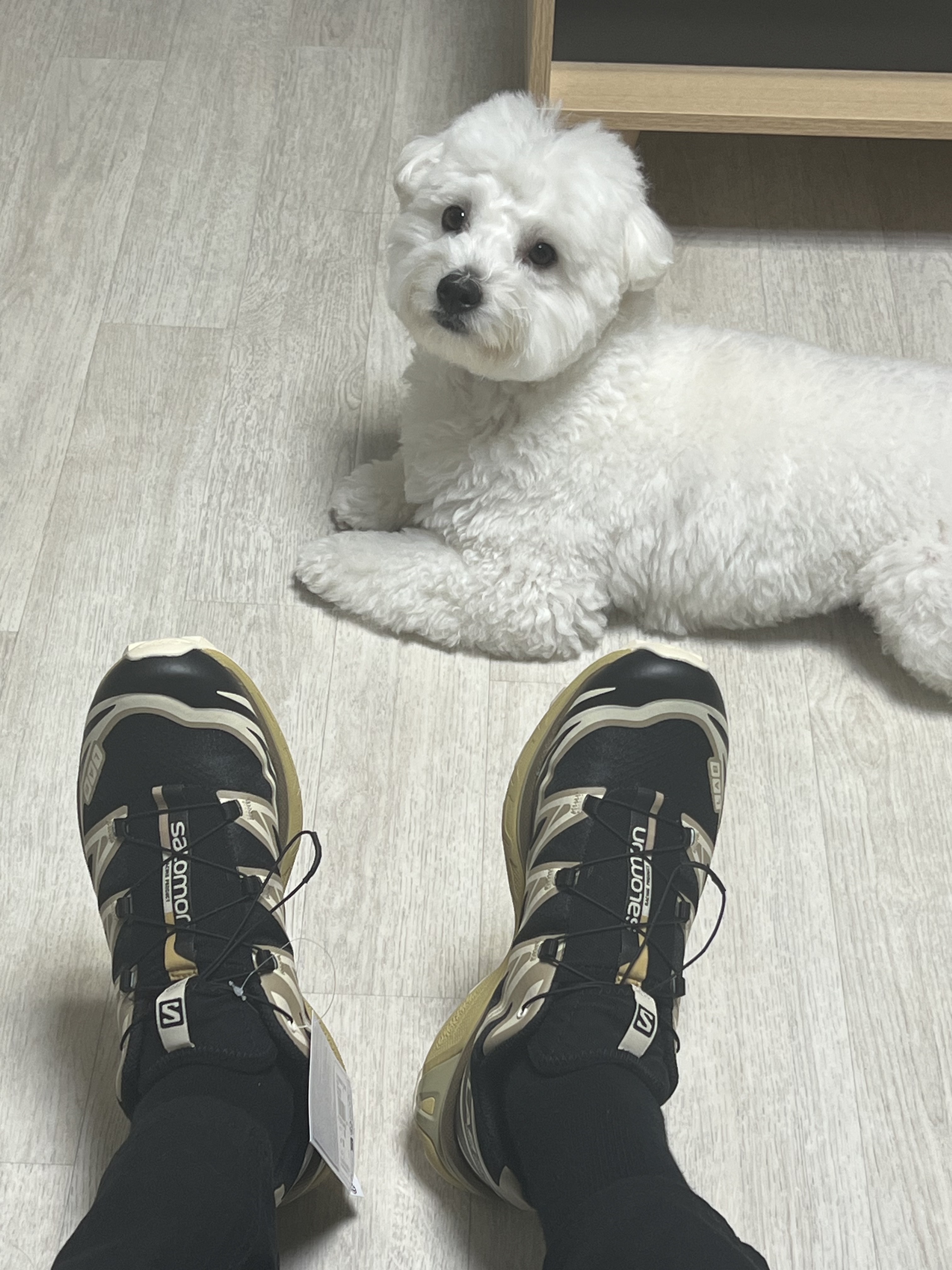 Salomon x END. XT-6 Dark Truffle 착용 스타일 - 2