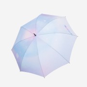 Bloomingtale Compact Disk Umbrella Silver Dye Handle