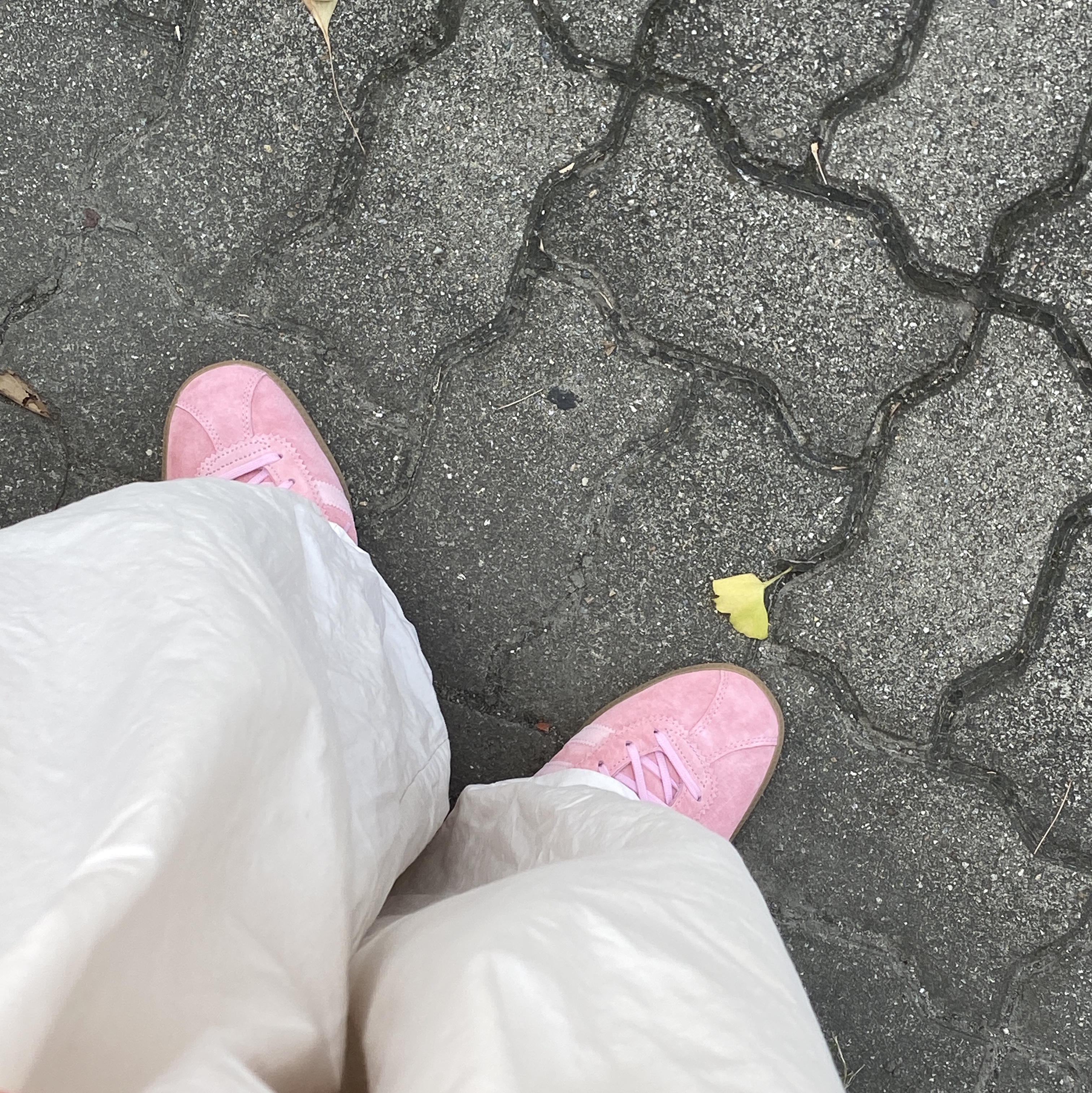 Adidas Bermuda Glow Pink 착용 스타일