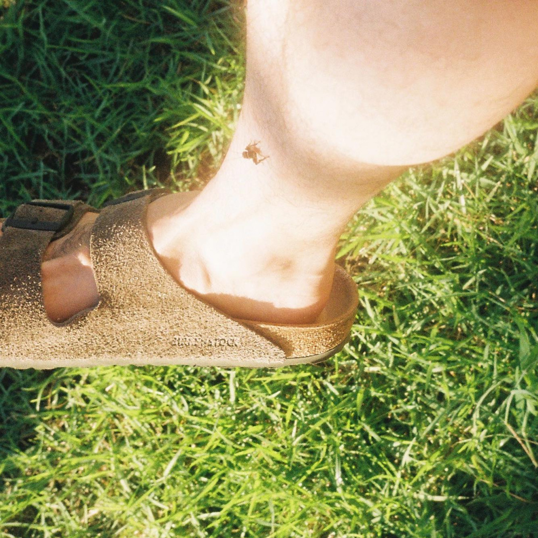 Birkenstock Arizona Soft Footbed Suede Leather Taupe - Regular 착용 스타일 - 3