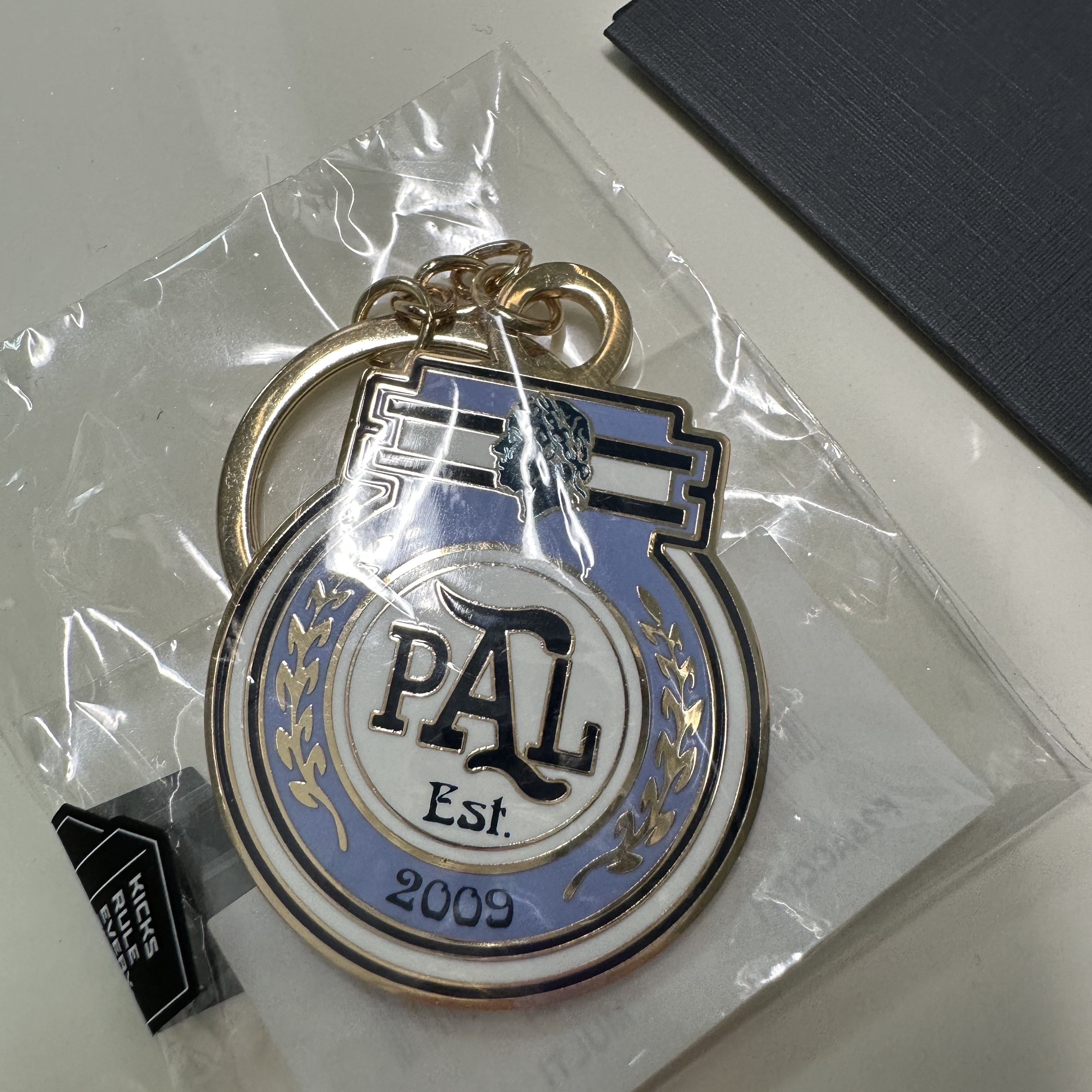 Palace Pro Keyring Multi - 23FW 착용 스타일