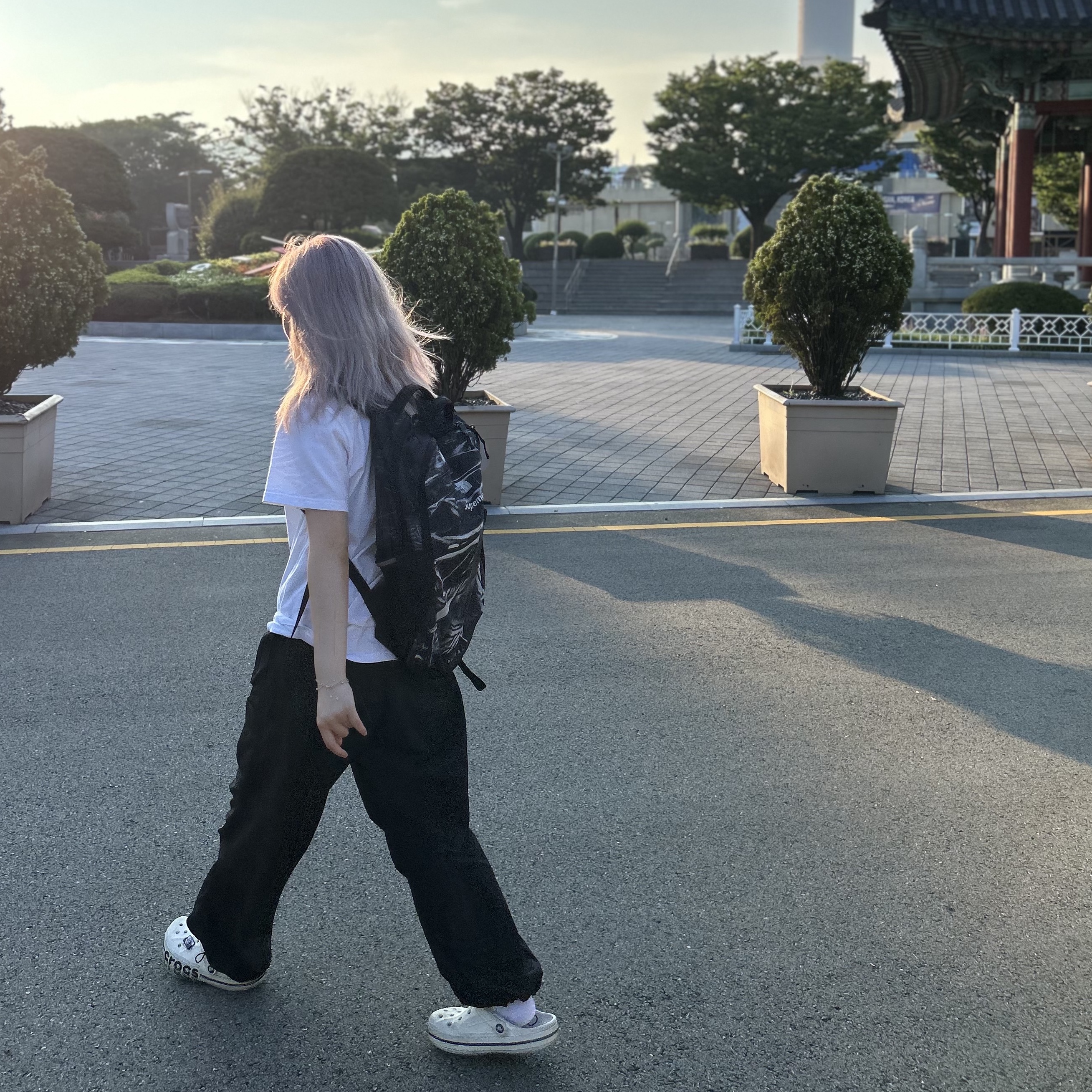 Supreme x The North Face Trompe L'oeil Printed Borealis Backpack Black - 23SS 착용 스타일