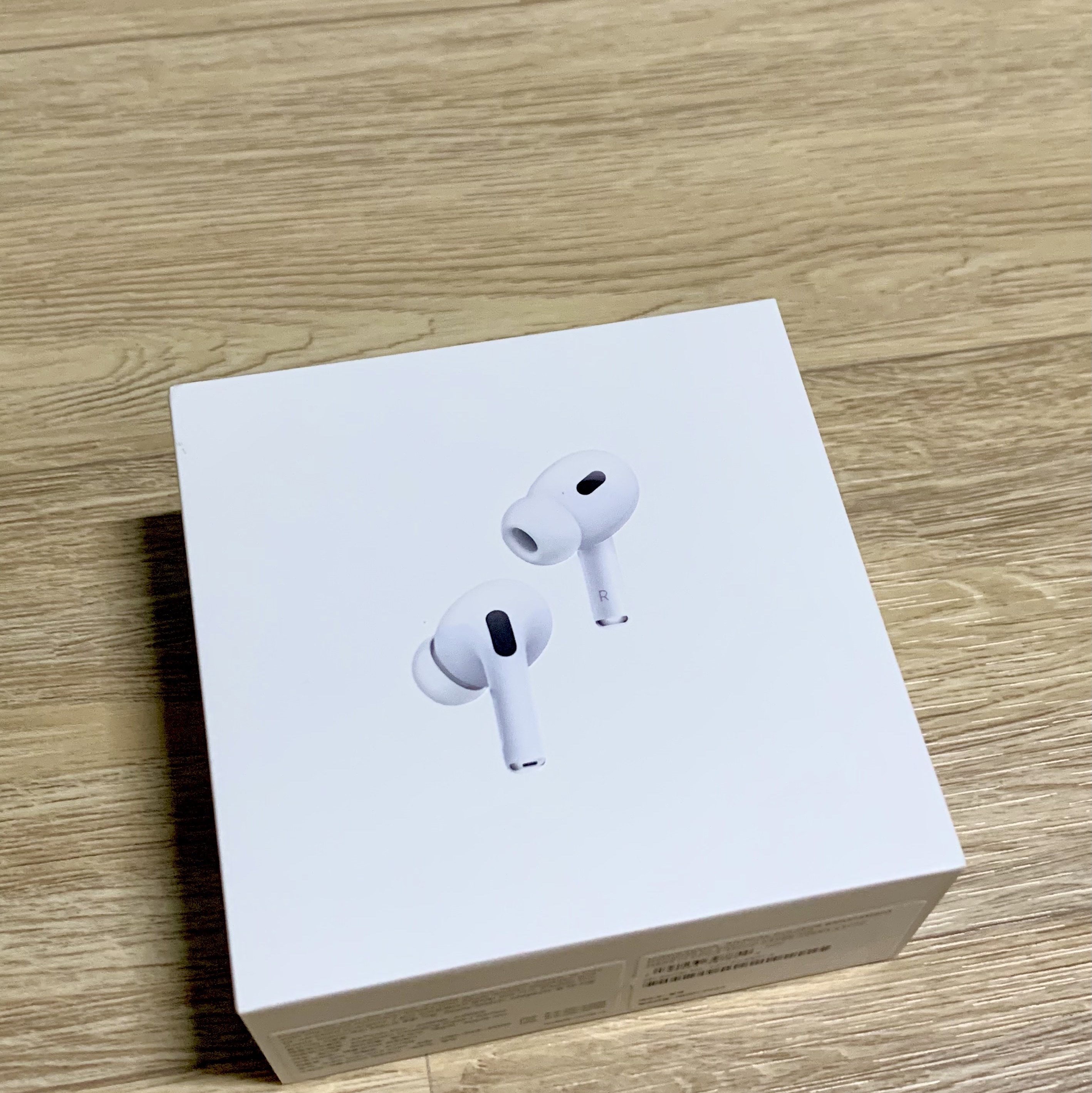 Apple AirPods Pro 2nd Gen (Korean Ver.) 착용 스타일