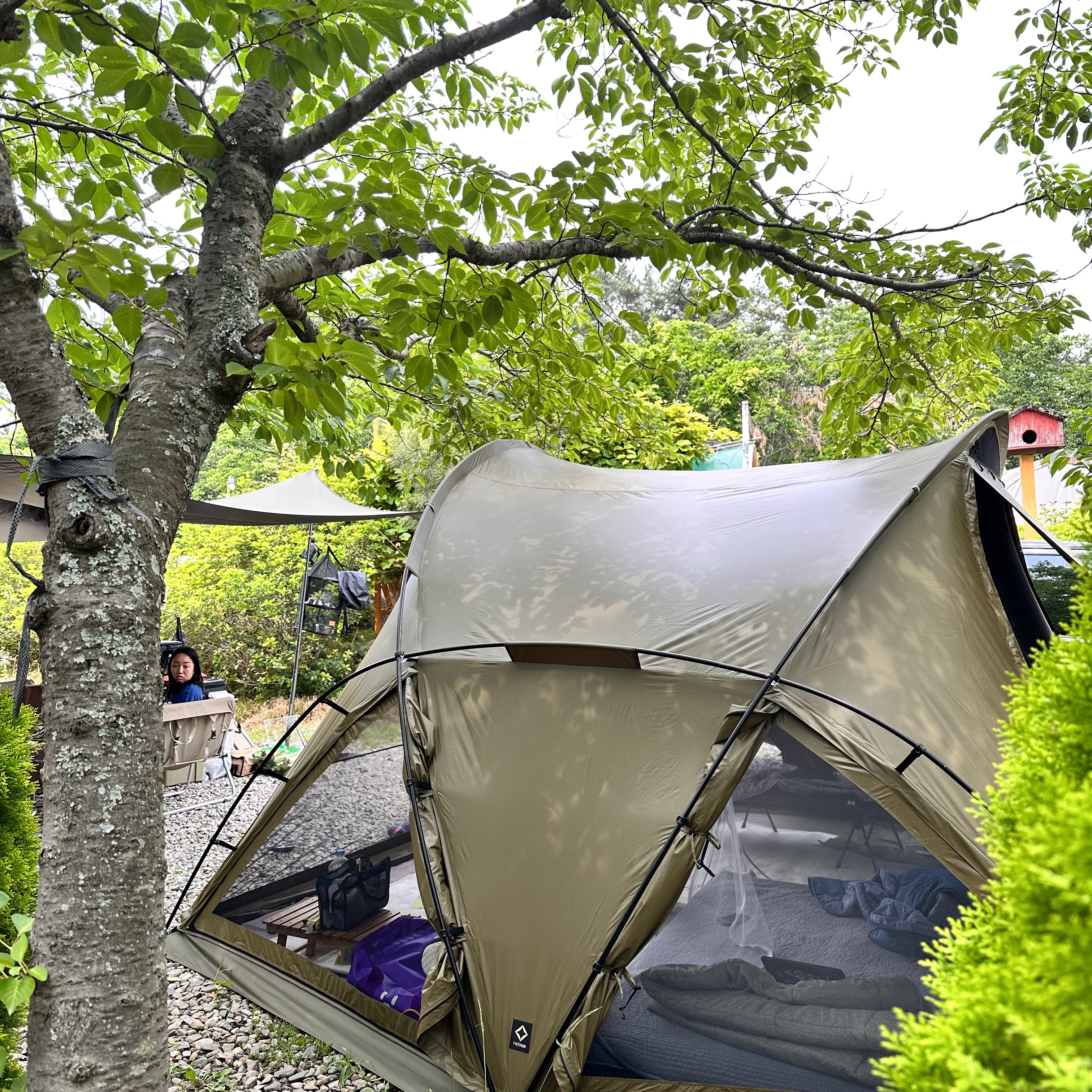 Helinox Tactical V-Tarp 4.0 R1 Coyote Tan 착용 스타일