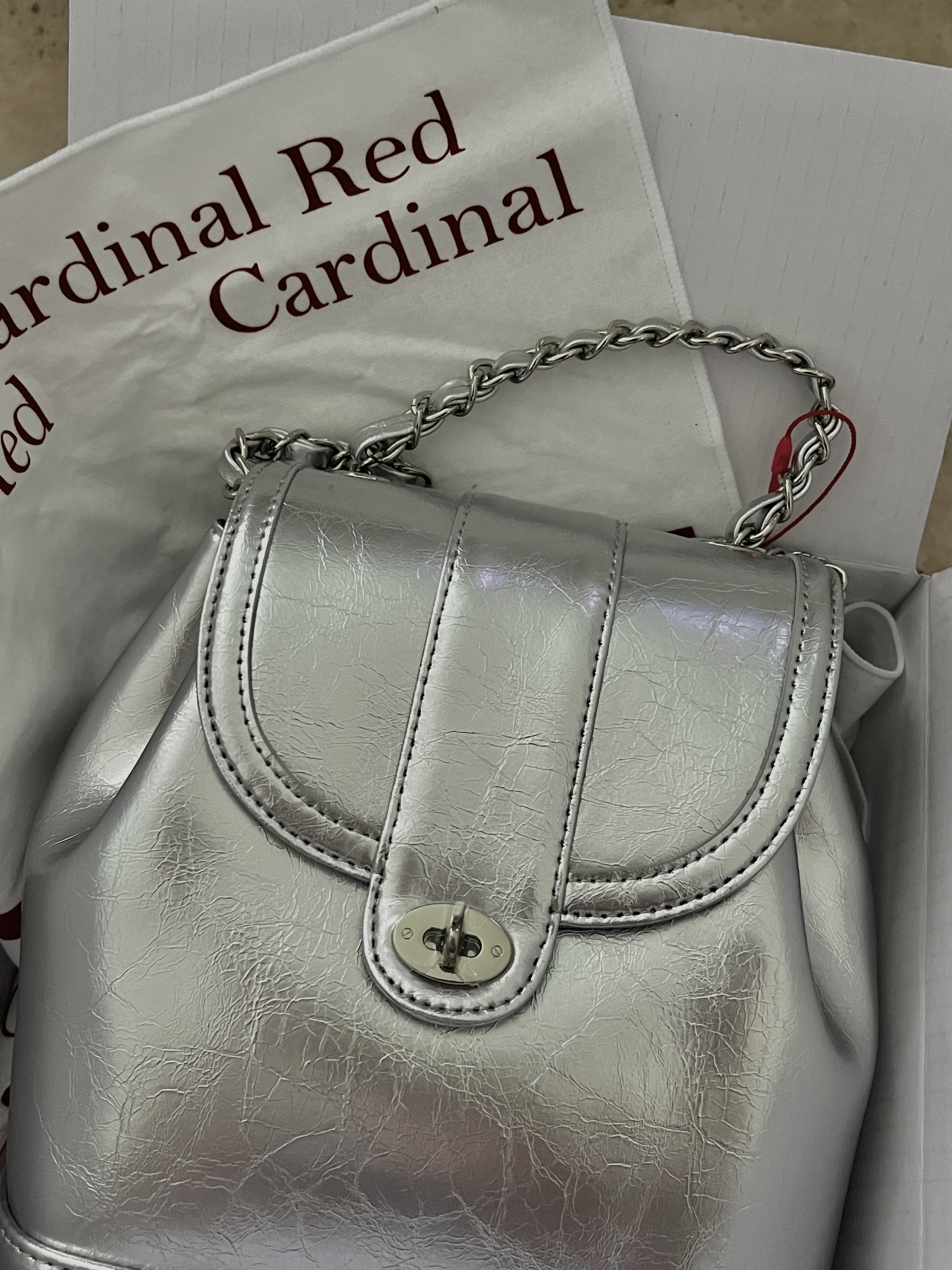 Cardinal Red Hawoo-A Bag Silver 착용 스타일