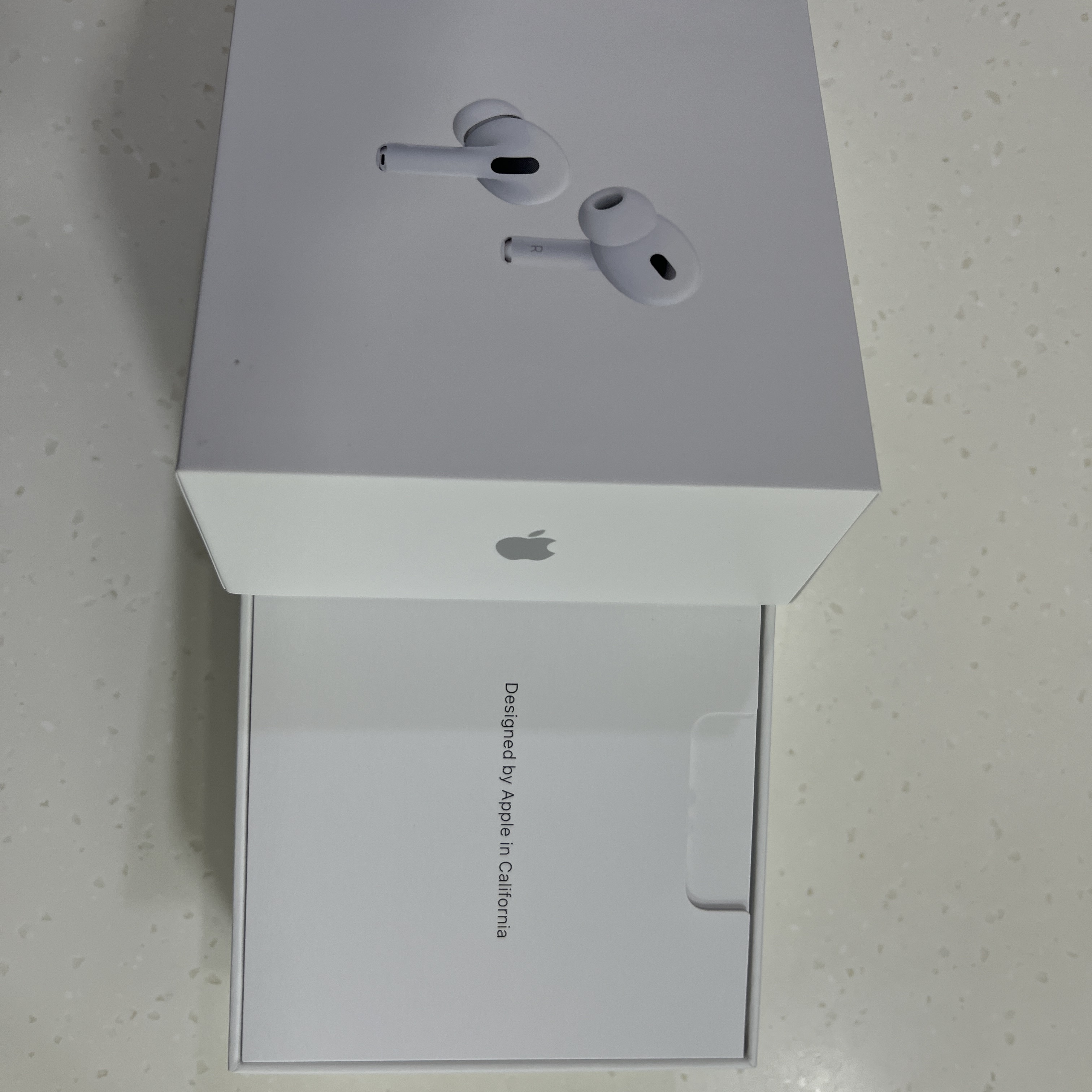 Apple AirPods Pro 2nd Gen (Korean Ver.) 착용 스타일 - 2