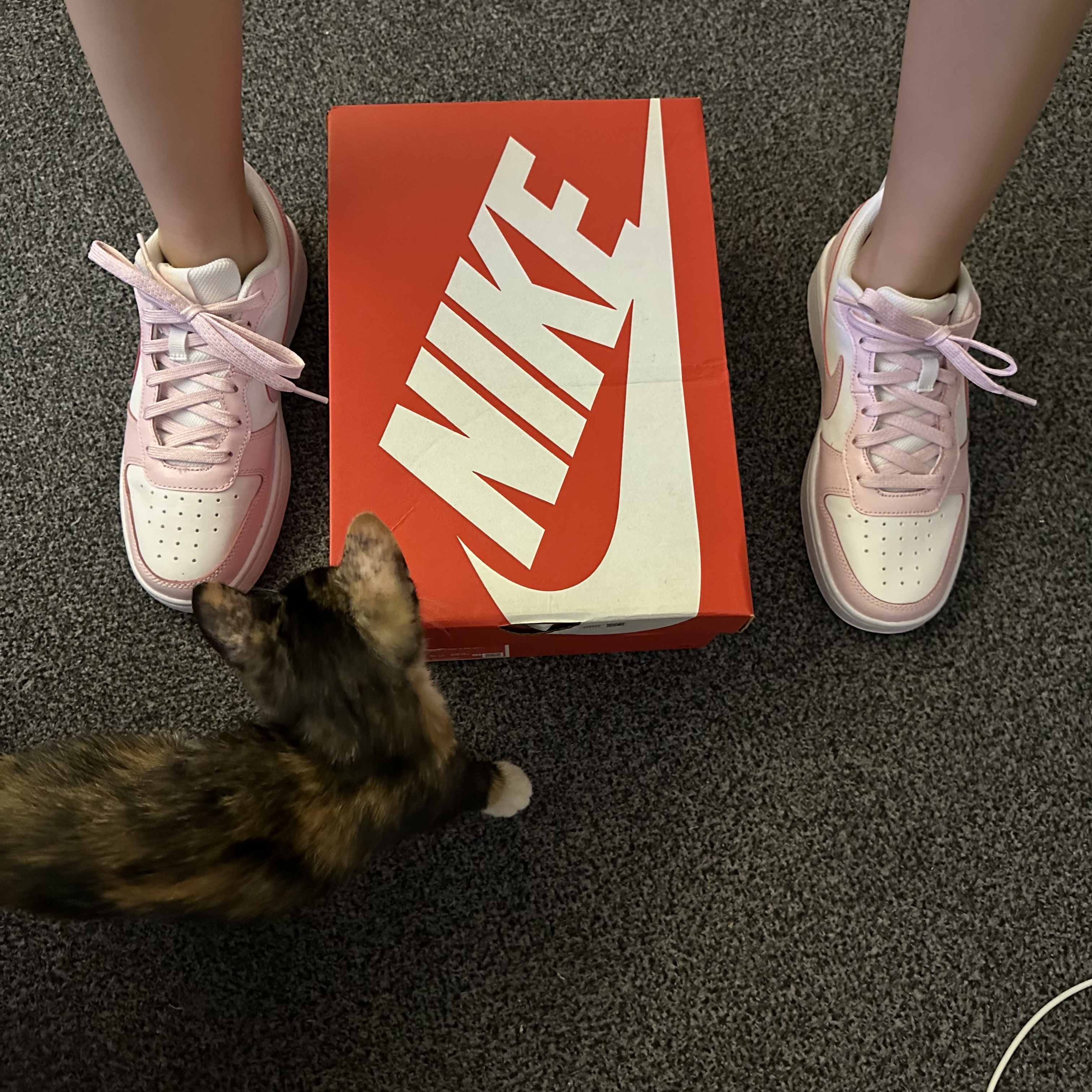 (GS) Nike Court Borough 2 SE White Pink Foam 착용 스타일 - 5