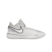 Nike Zoom LeBron NXXT Gen White Metallic Silver