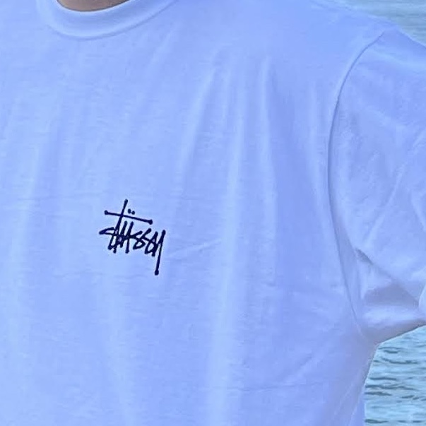 Stussy Basic Stussy T-Shirt White 2023 착용 스타일