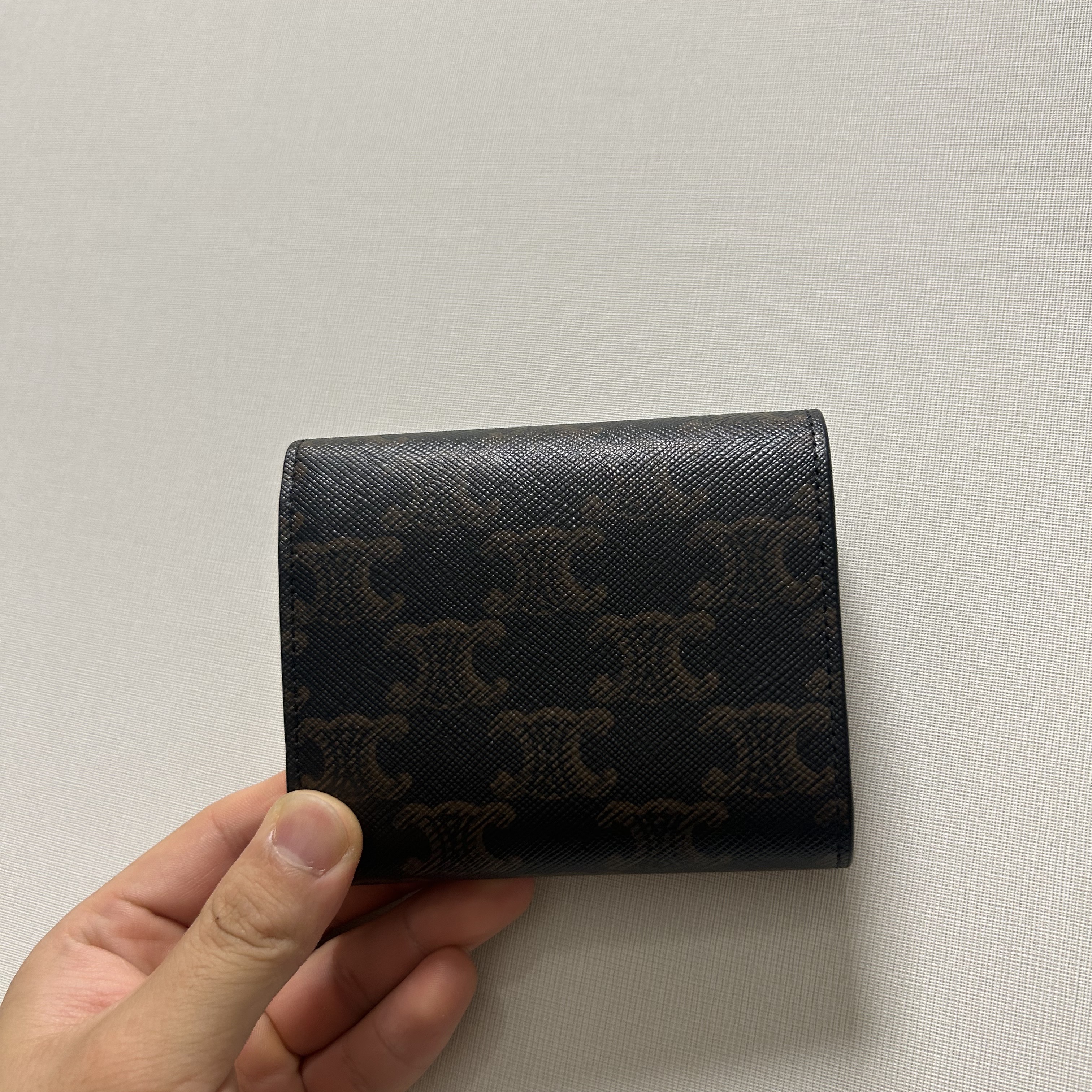 Celine Small Wallet Triomphe in Triomphe Canvas Tan 착용 스타일 - 3