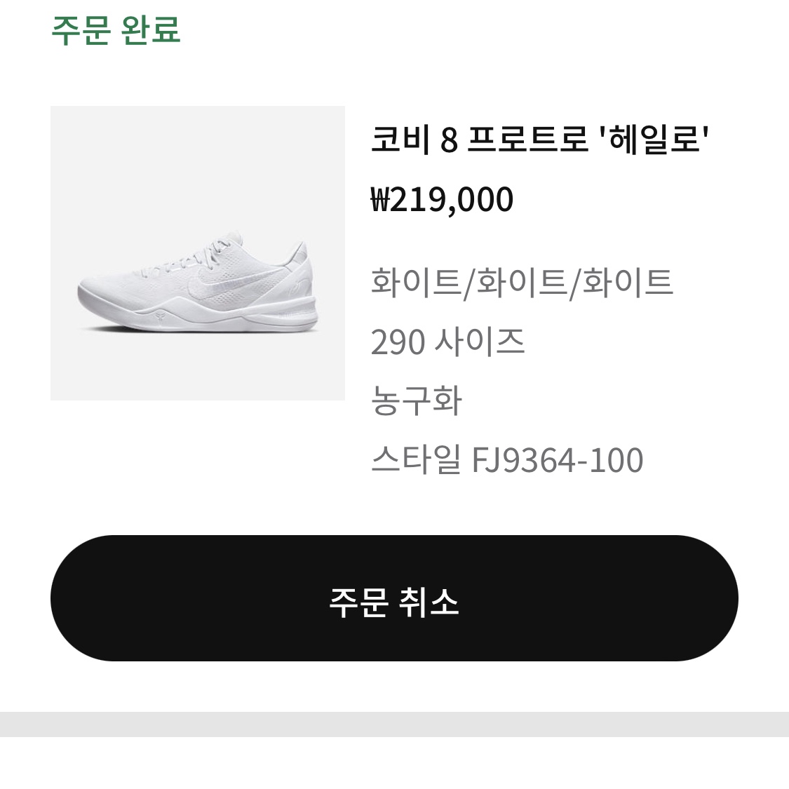 Nike Kobe 8 Protro Halo 착용 스타일