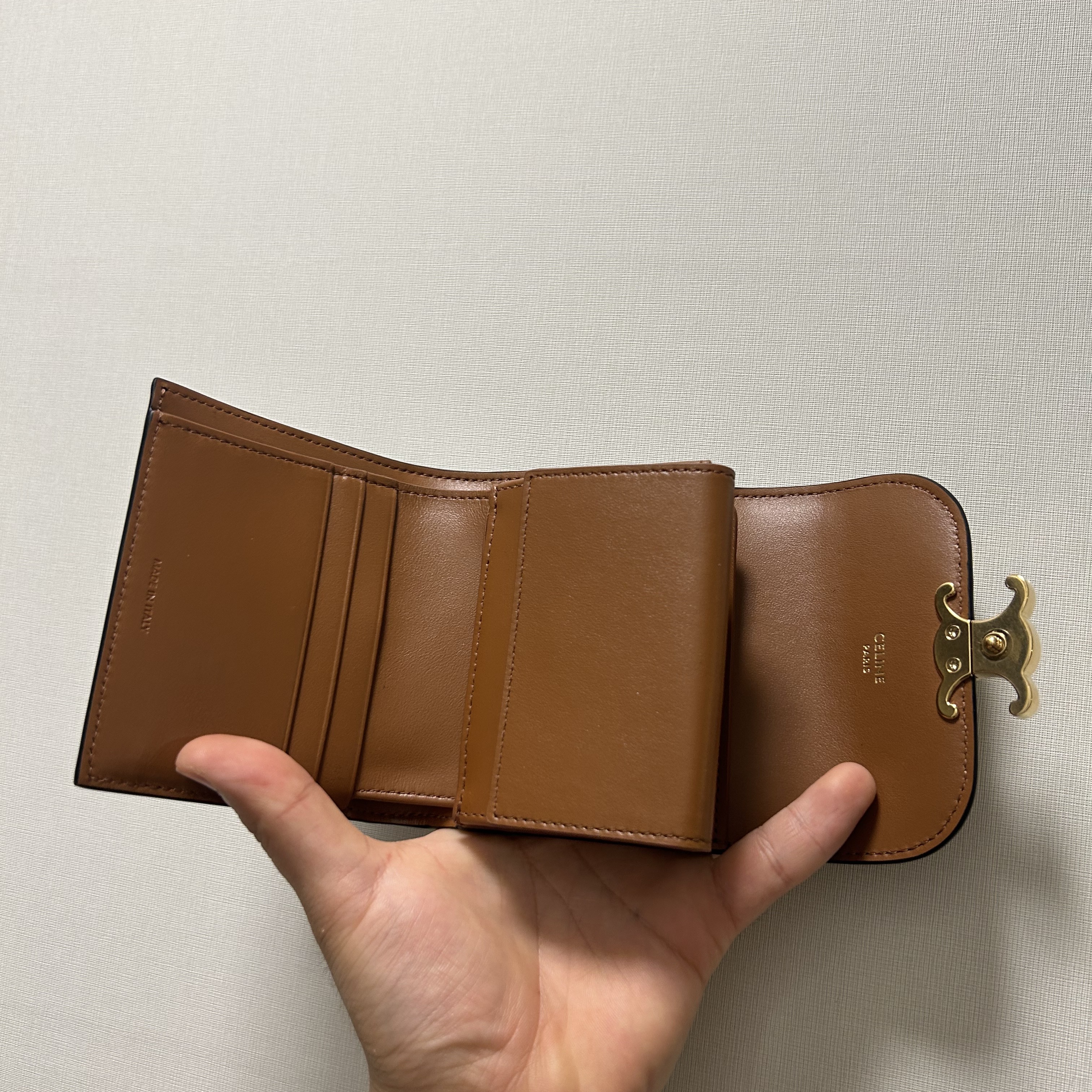 Celine Small Wallet Triomphe in Triomphe Canvas Tan 착용 스타일 - 5