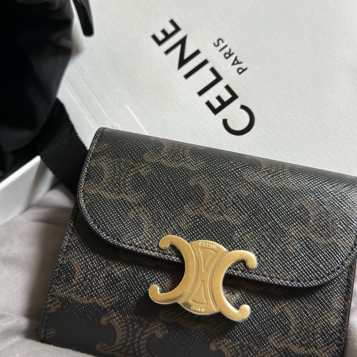 Celine Small Wallet Triomphe in Triomphe Canvas Tan 착용 스타일