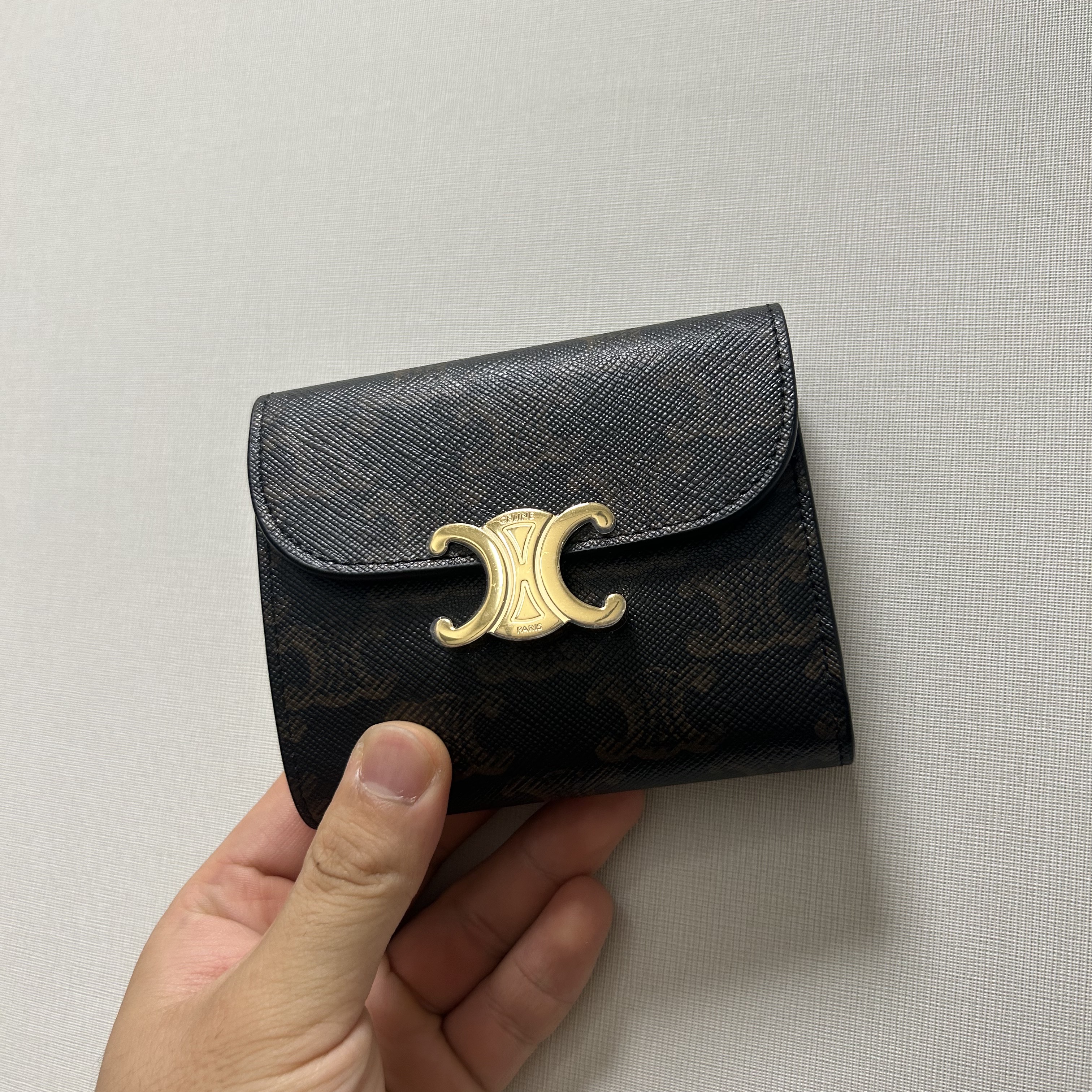 Celine Small Wallet Triomphe in Triomphe Canvas Tan 착용 스타일 - 1