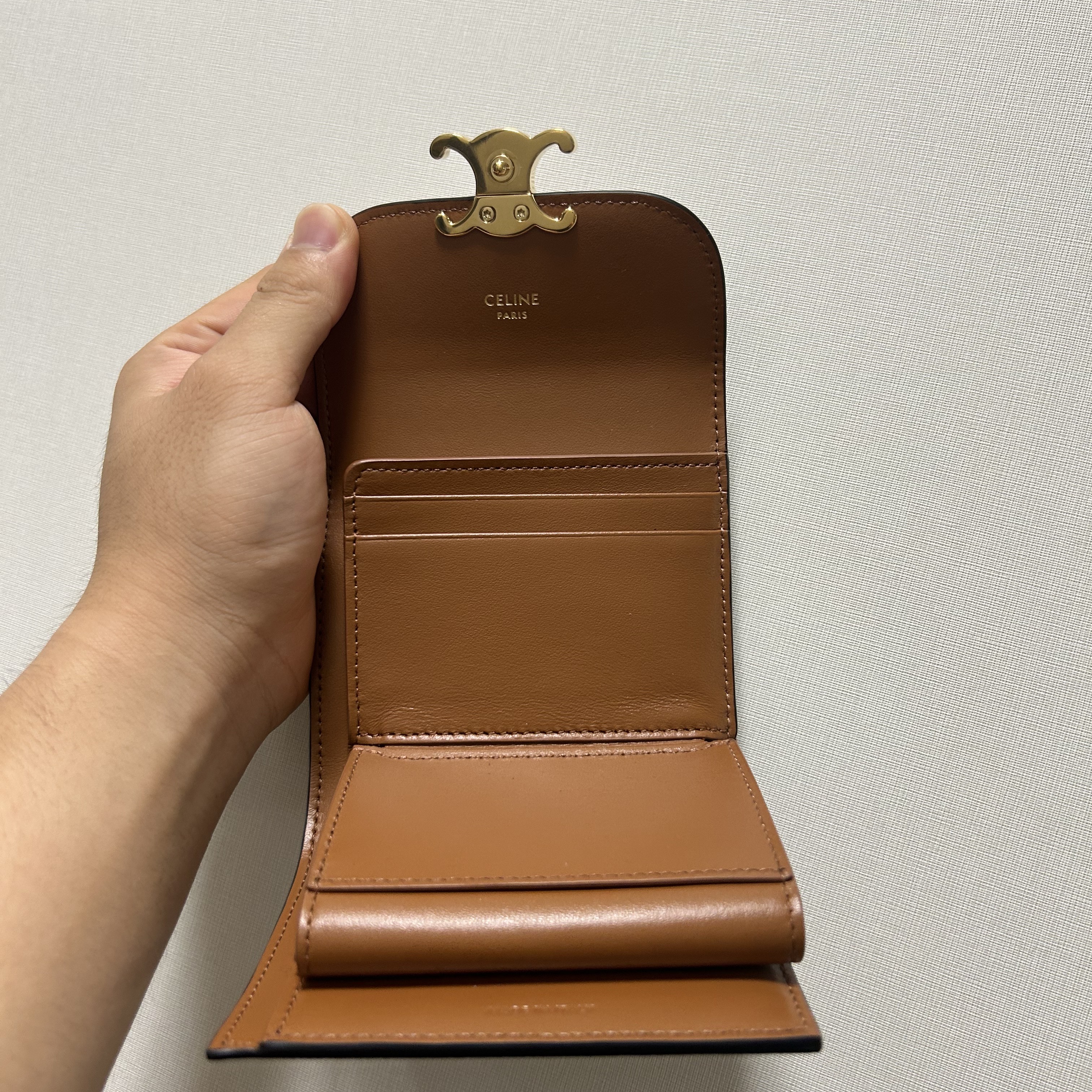 Celine Small Wallet Triomphe in Triomphe Canvas Tan 착용 스타일 - 4