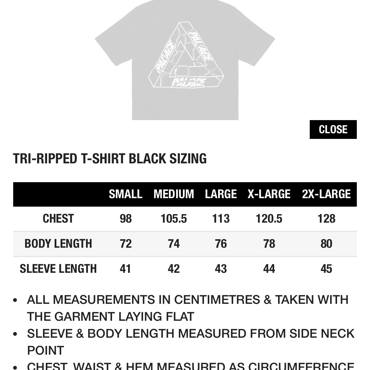 Palace Tri-Ripped T-Shirt Black - 23FW 착용 스타일