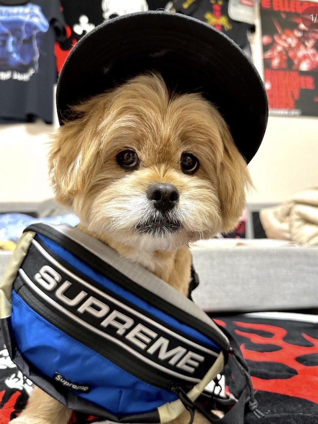Supreme Waist Bag Blue - 23FW 착용 스타일