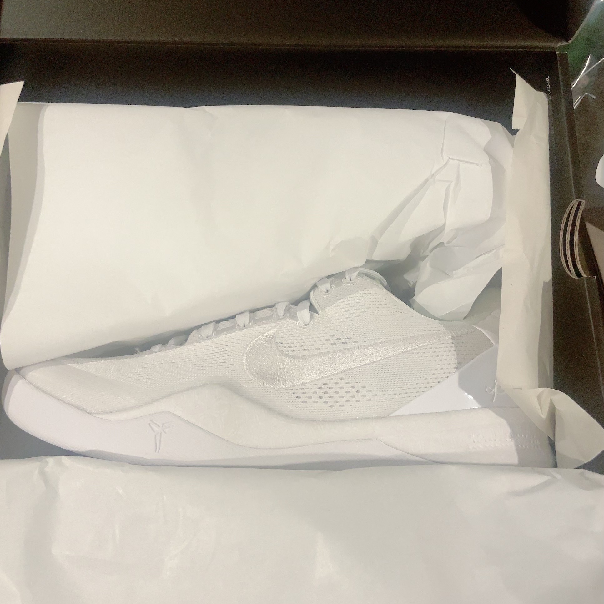 Nike Kobe 8 Protro Halo 착용 스타일