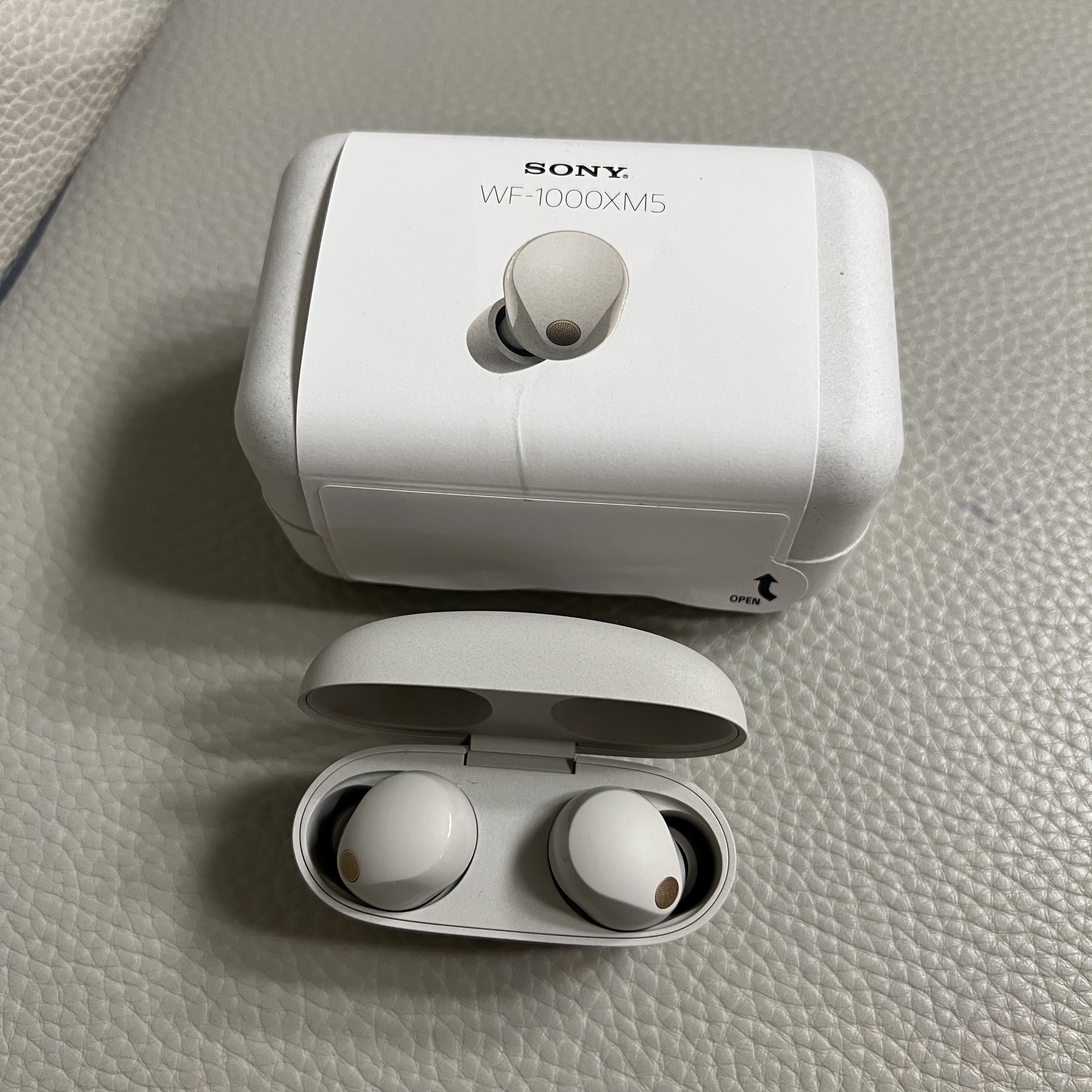 [사은품 증정] Sony WF-1000XM5 Platinum Silver (Sony Korea Ver.) 착용 스타일 - 1