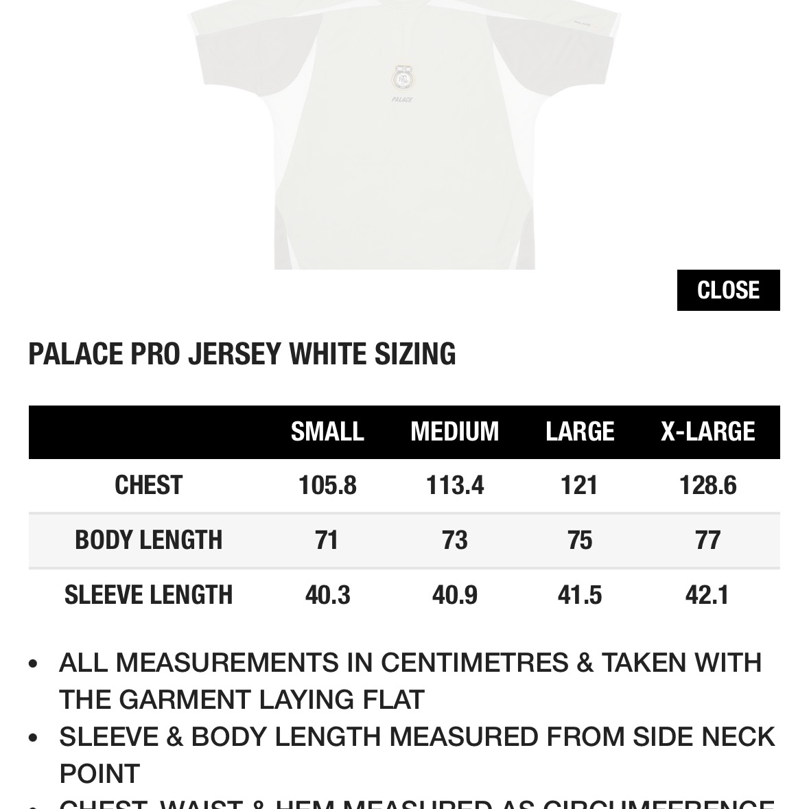 Palace Pro Jersey White - 23FW 착용 스타일