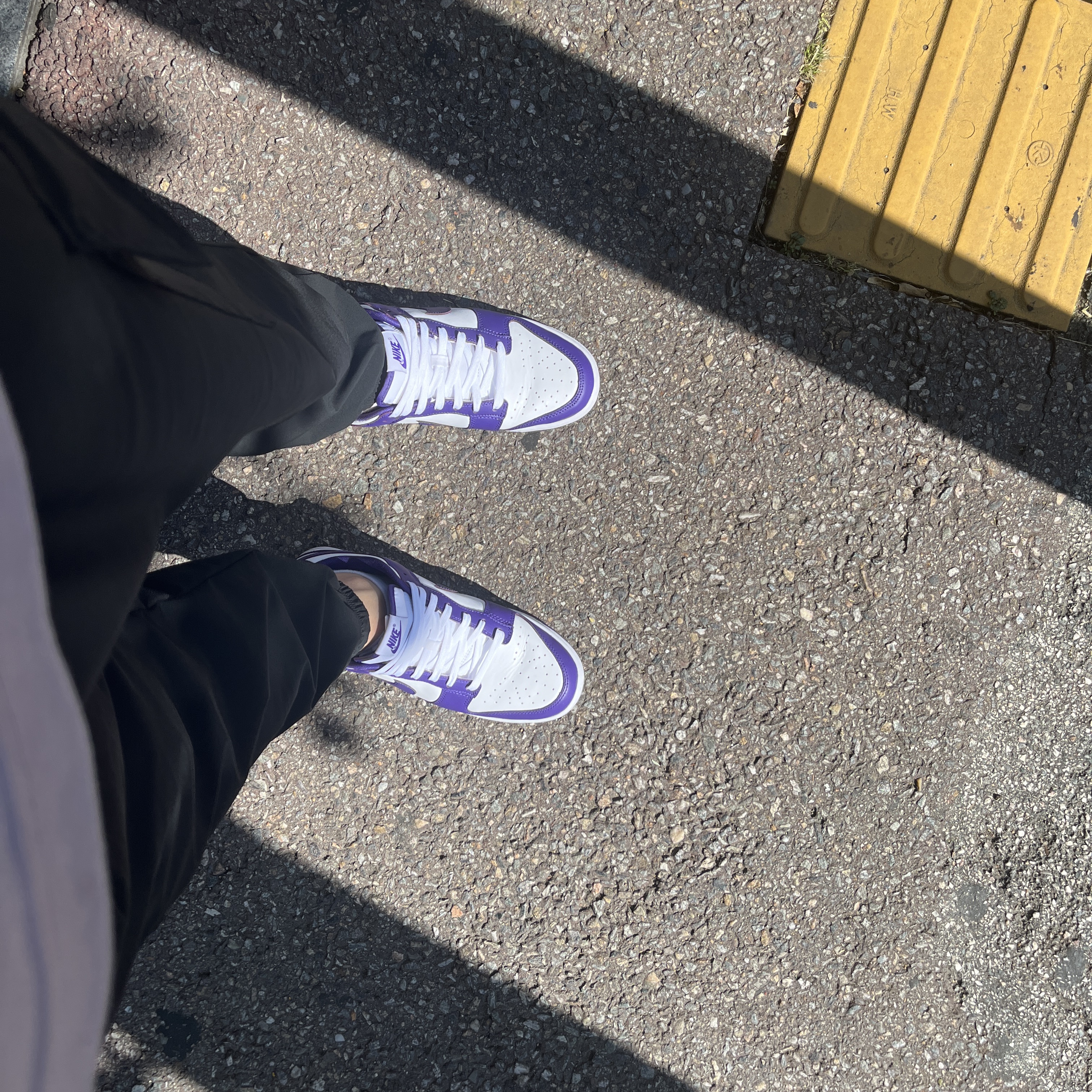 Nike Dunk Low Retro Championship Court Purple 착용 스타일