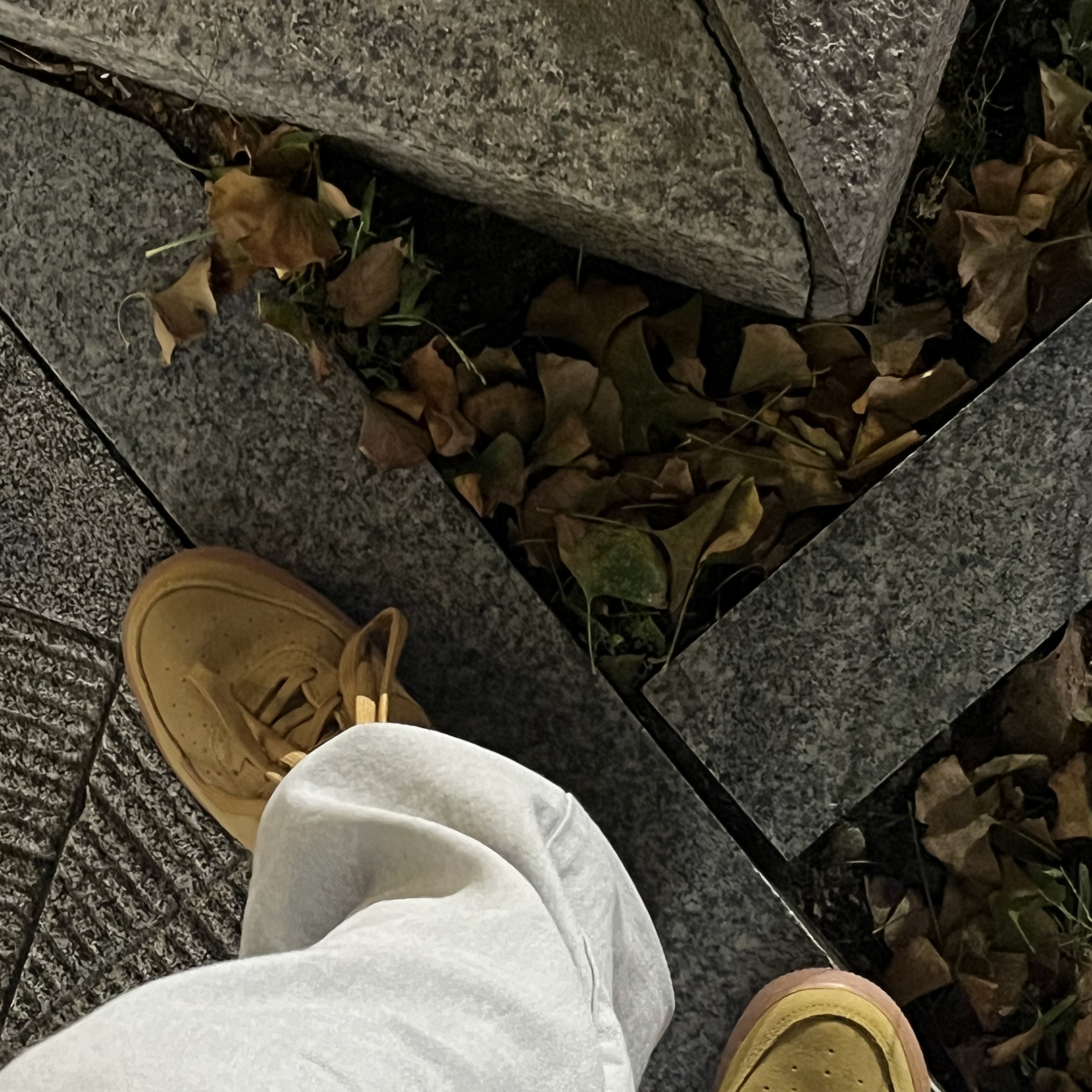 (GS) Nike Air Force 1 LV8 3 Wheat 착용 스타일 - 3