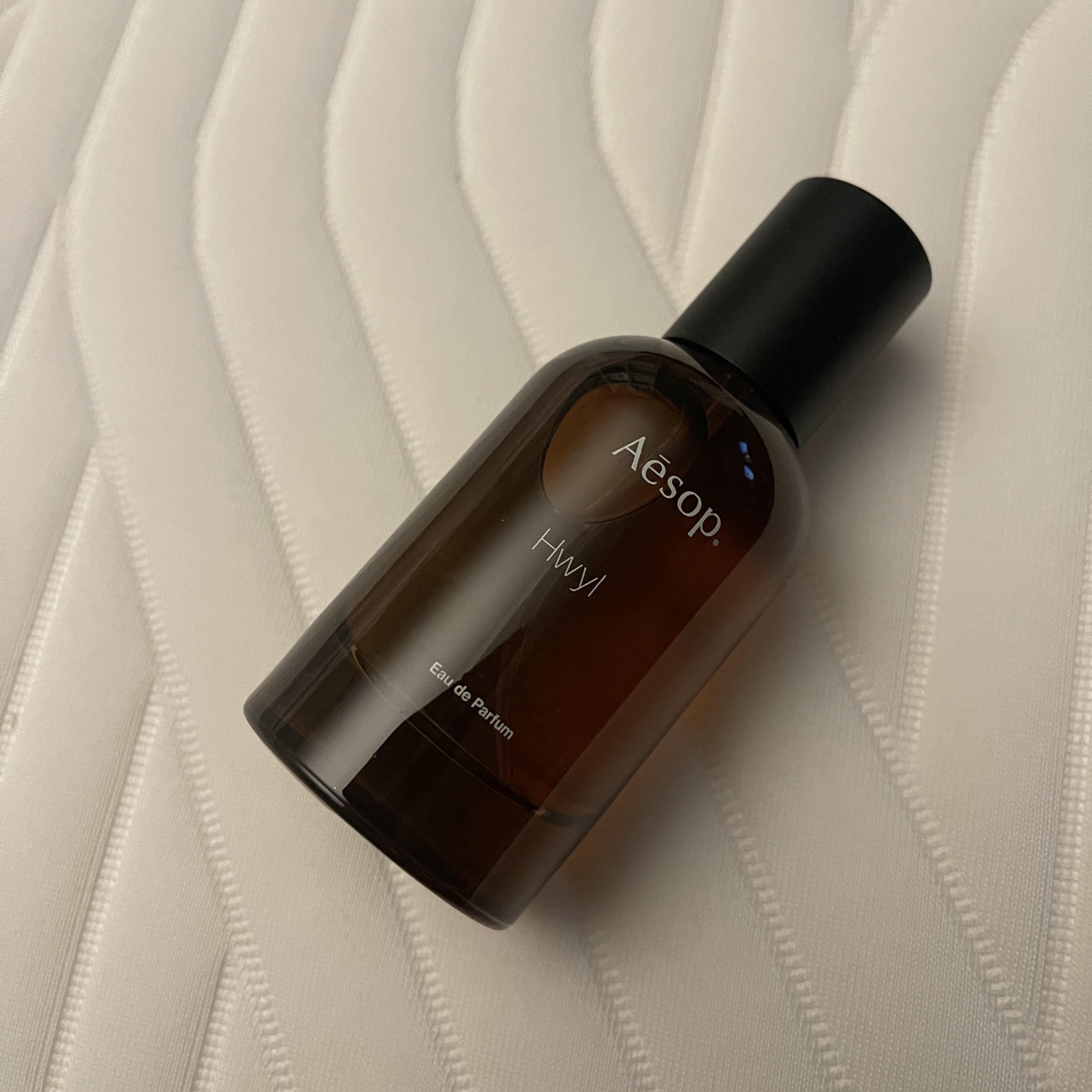 Aesop Hwyl Eau De Parfum 50ml 착용 스타일