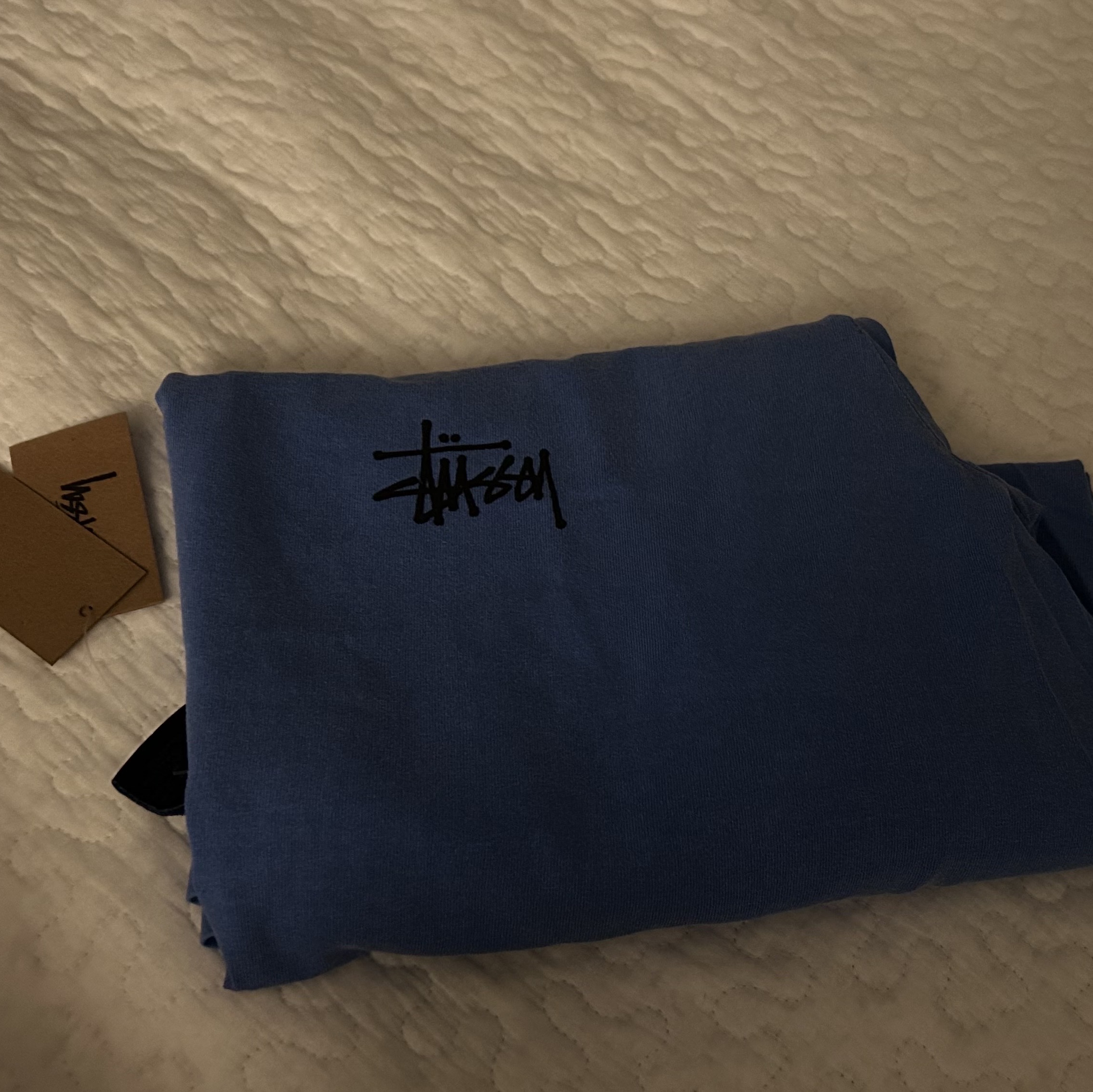 Stussy Basic Stussy Pigment Dyed LS T-Shirt Blue 2023 착용 스타일