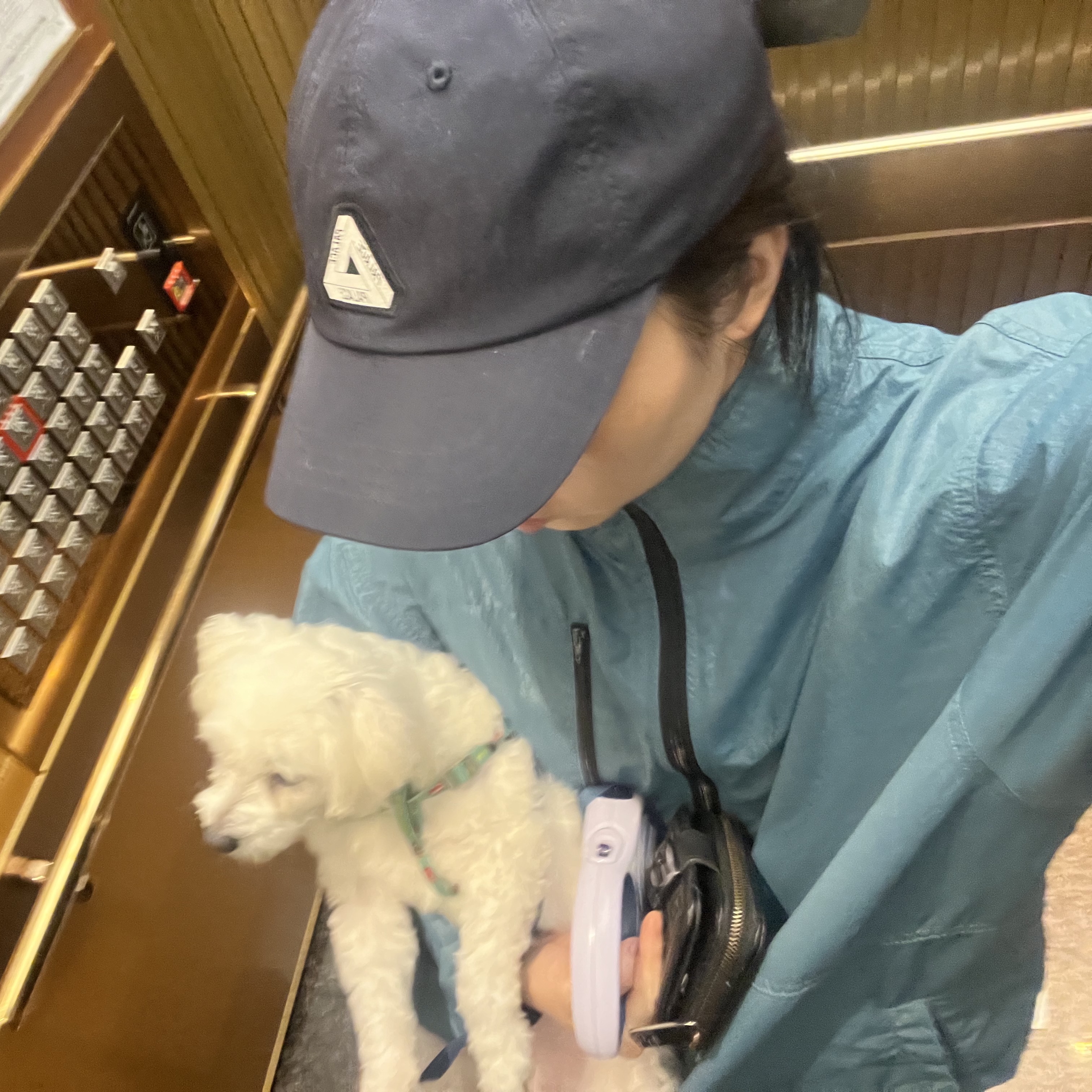 Palace Tri-Ferg Patch Shell 6-Panel Navy - 22SS 착용 스타일 - 1