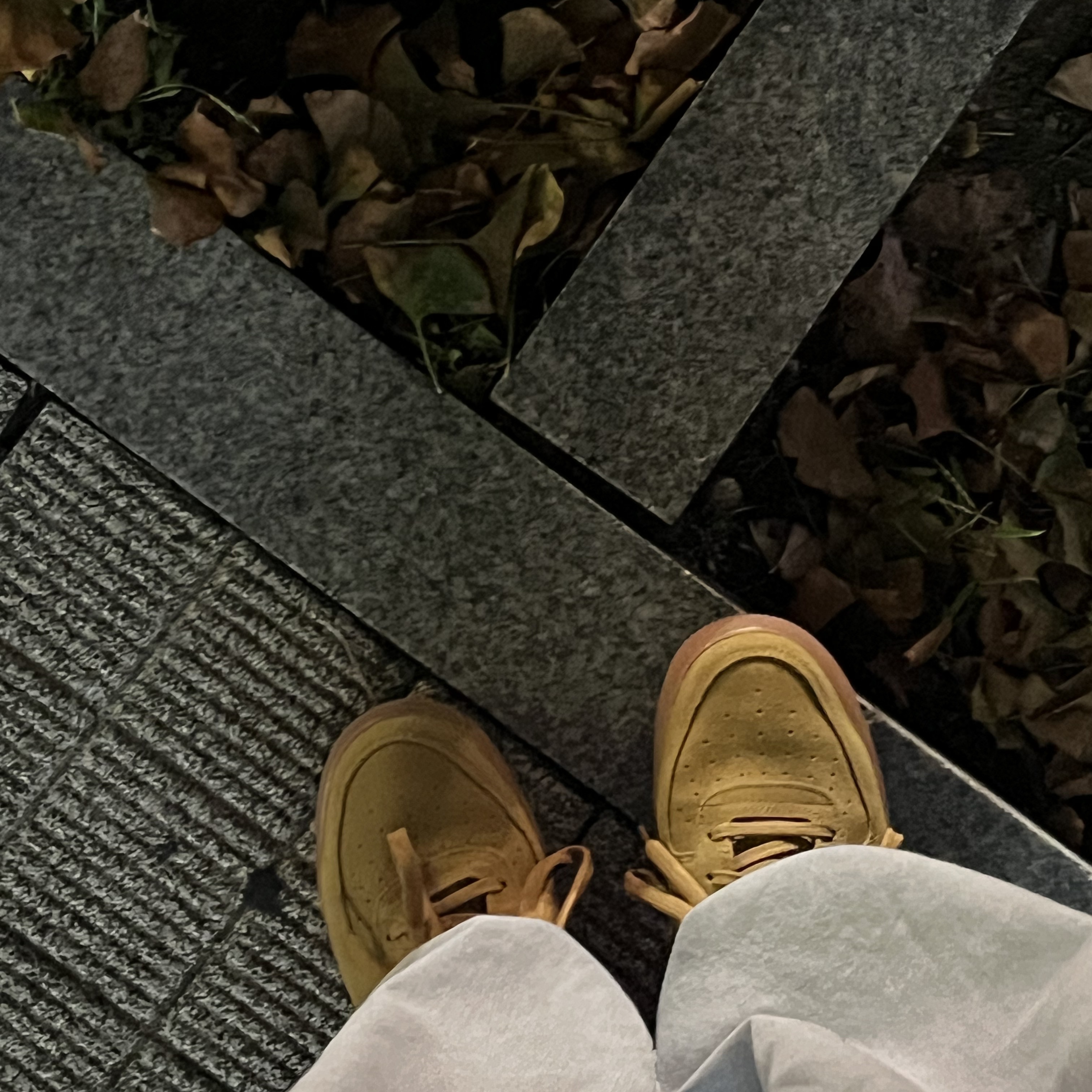 (GS) Nike Air Force 1 LV8 3 Wheat 착용 스타일 - 2