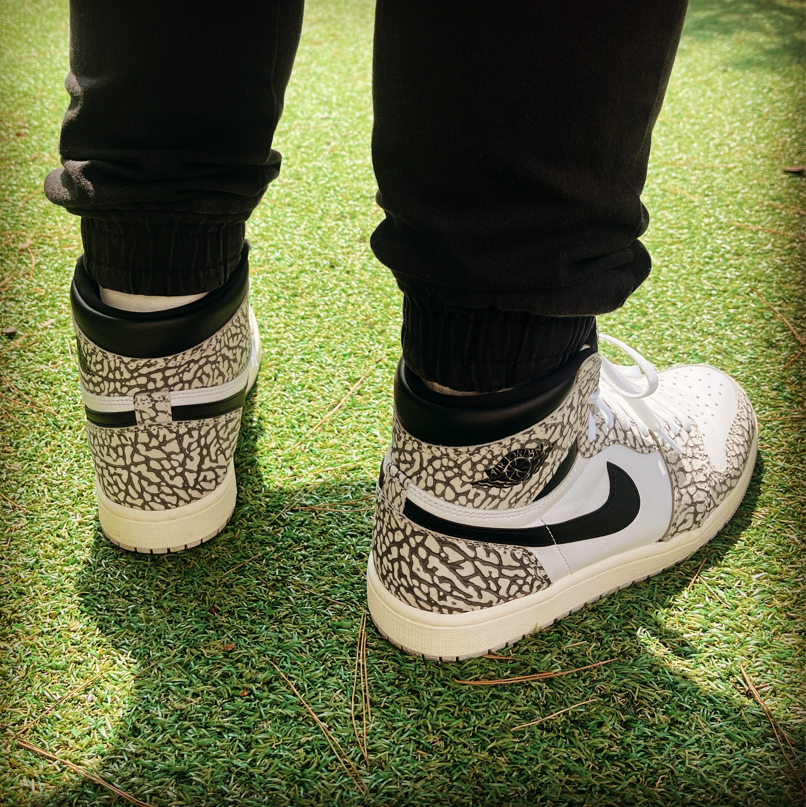 Jordan 1 Retro High OG White Cement 착용 스타일