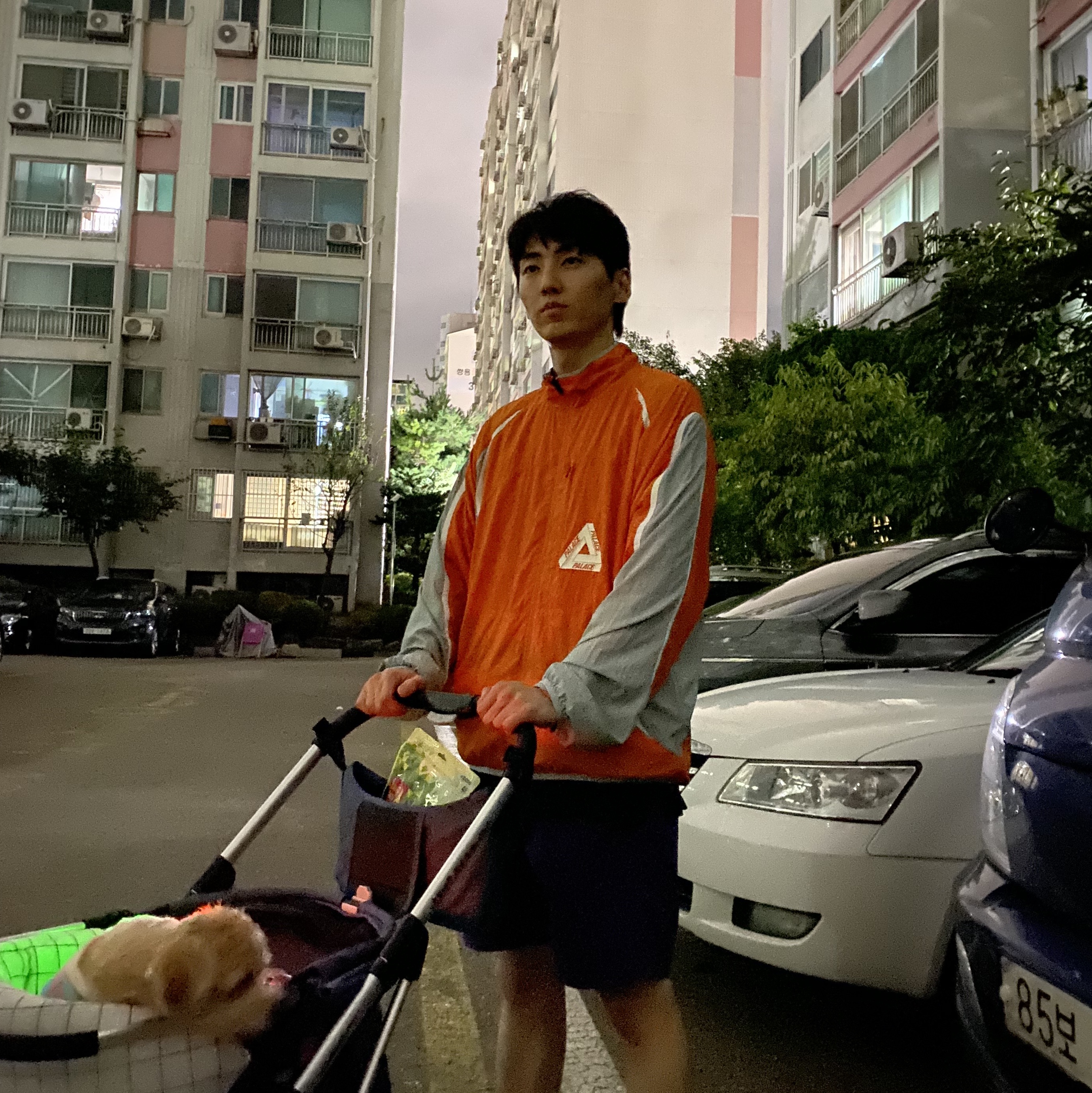 Palace Run It Jacket Jaffa Grey - 23SS 착용 스타일