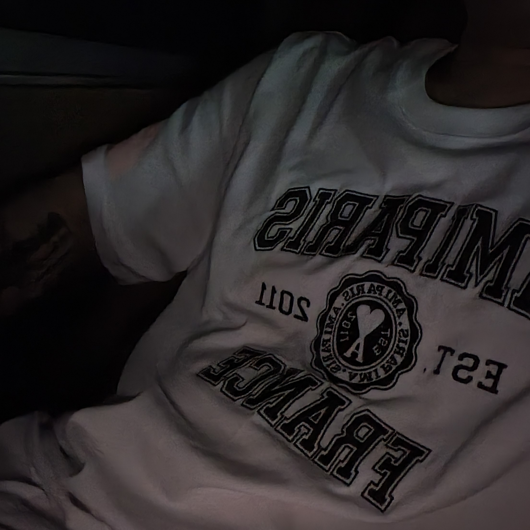 AMI Paris France T-Shirt White 착용 스타일