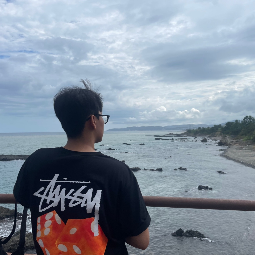 Stussy Diced Out T-Shirt Black 착용 스타일