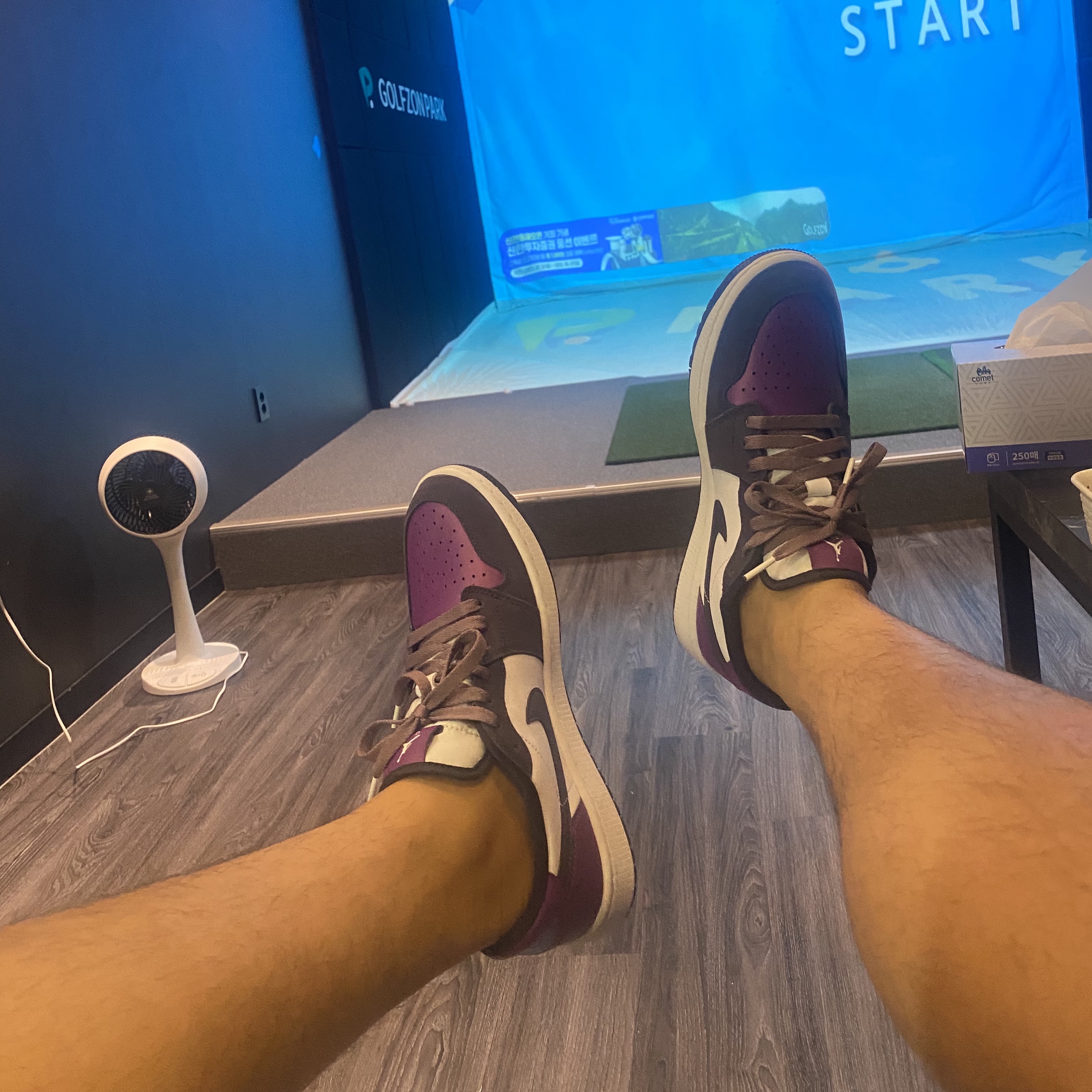 Jordan 1 Low Golf Cave Purple and Viotech 착용 스타일