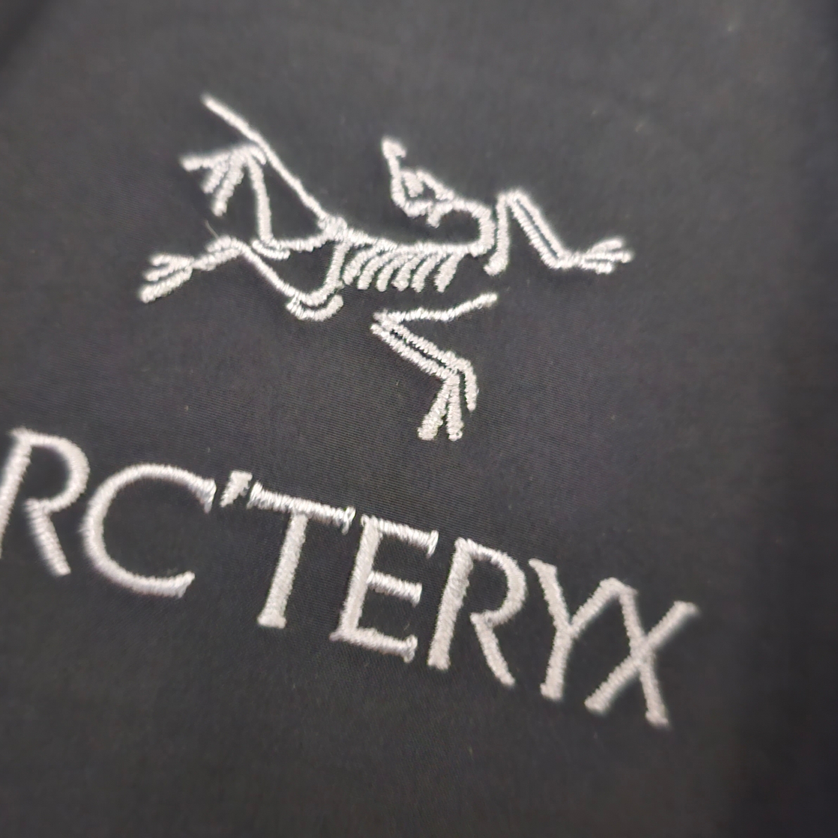 Arc'teryx Beta LT Jacket Black 착용 스타일