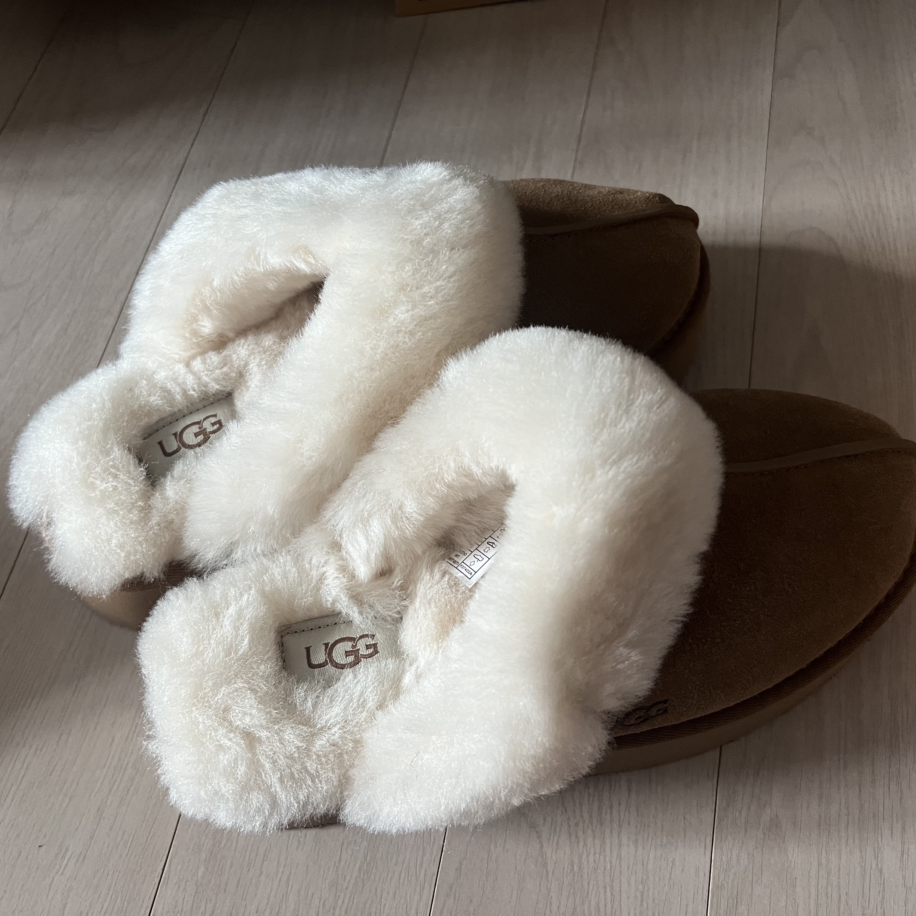 (W) UGG Disquette Slipper Chestnut 착용 스타일 - 4